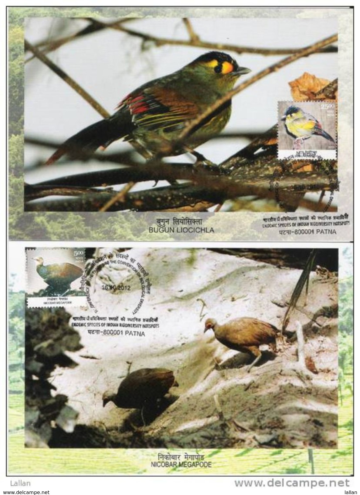 XI Conference Of The Parties To The Convention On Biological Diversity, Birds, Reptile & Monkey, 4-Maxim Cards,2012 - Environment & Climate Protection