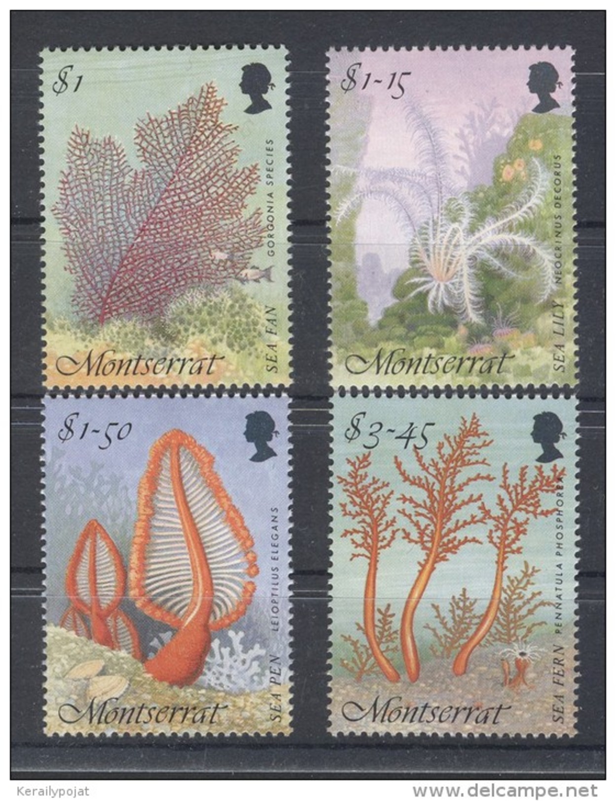 Montserrat - 1995 Marine Animals MNH__(TH-6052) - Montserrat