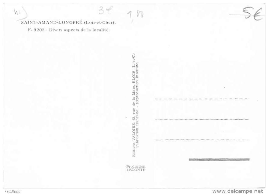 41 - SAINT AMAND LONGPRE : Divers Aspect De La Localité - CPSM Grand Format - Loir Et Cher - Saint Amand Longpre