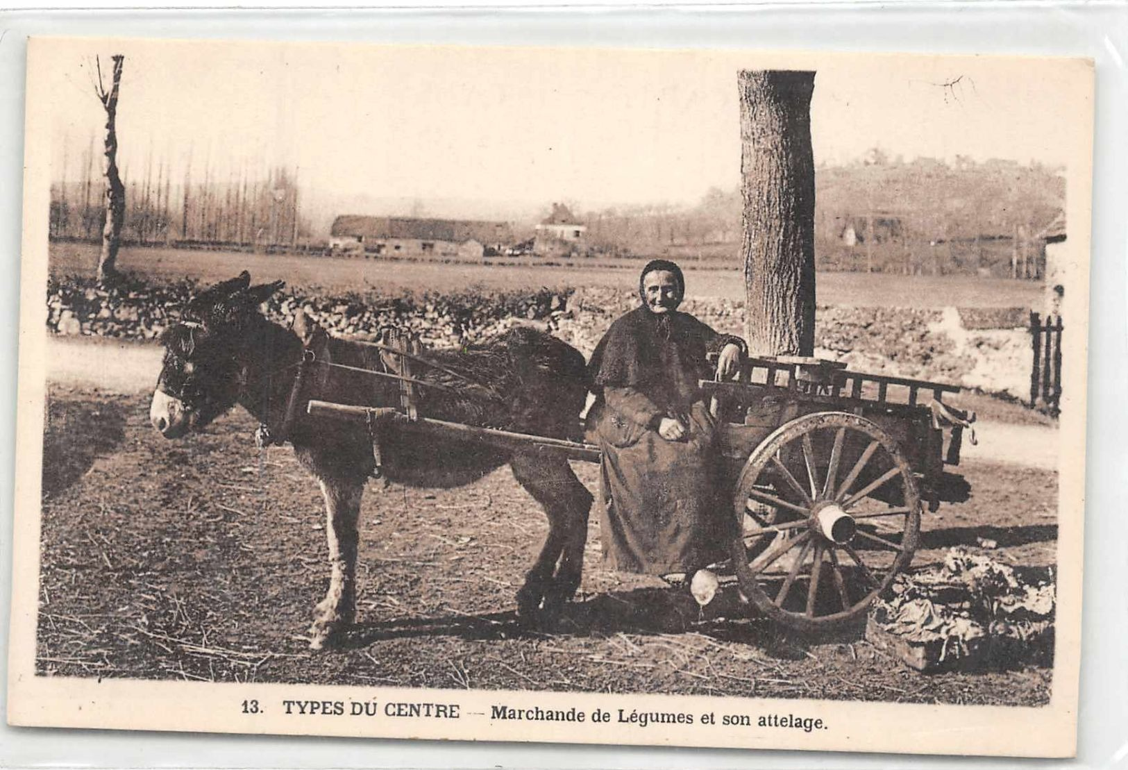 19 ? - Type Du Centre - Marchande De Legumes Et Son Attelage D'Ane (edts Guionie à Brive ) - Andere & Zonder Classificatie