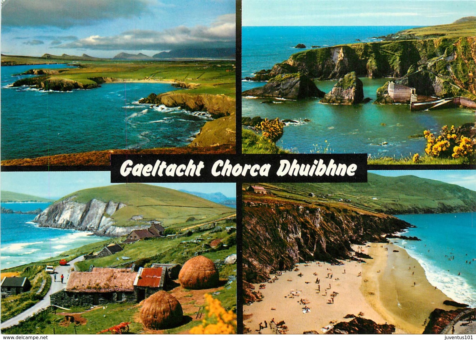 CPSM Ireland-Gaeltacht Chorca Dhuibhne             L2397 - Other & Unclassified