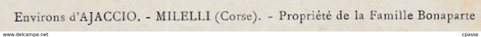 CPA 20 2A CORSE Du SUD - Environs D'Ajaccio MILELLI - Propriété De La Famille Bonaparte ° Collection J. Moretti N° 840 - Otros & Sin Clasificación