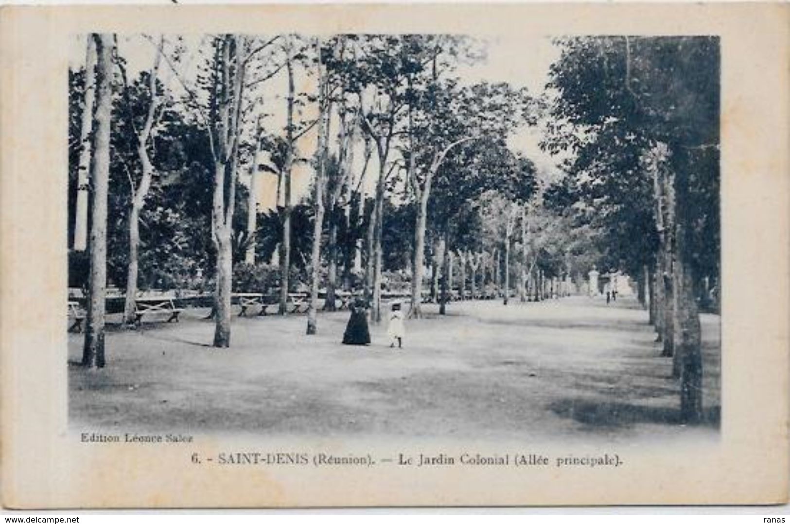 CPA Ile De La Réunion Saint Denis Non Circulé - Saint Denis