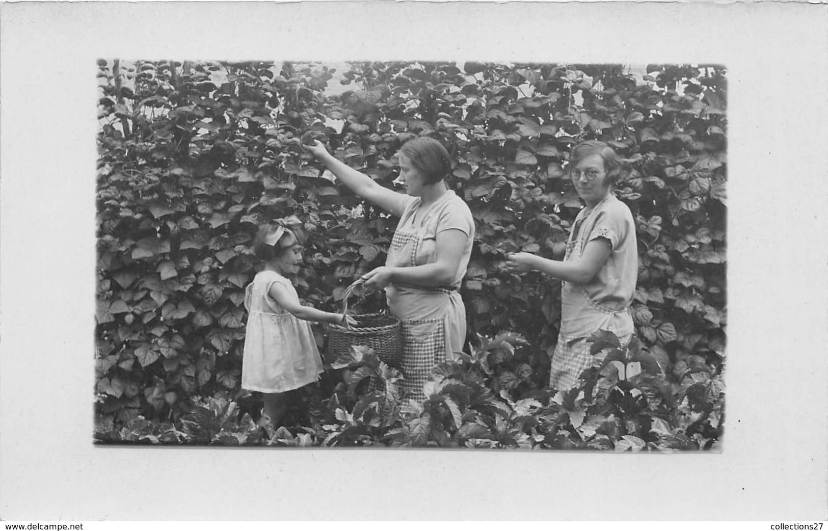 76-NEUFCHATEL-EN-BRAY- LOT DE 8 CARTES PHOTO- SCENES D'UNE FAMILLE  (4)