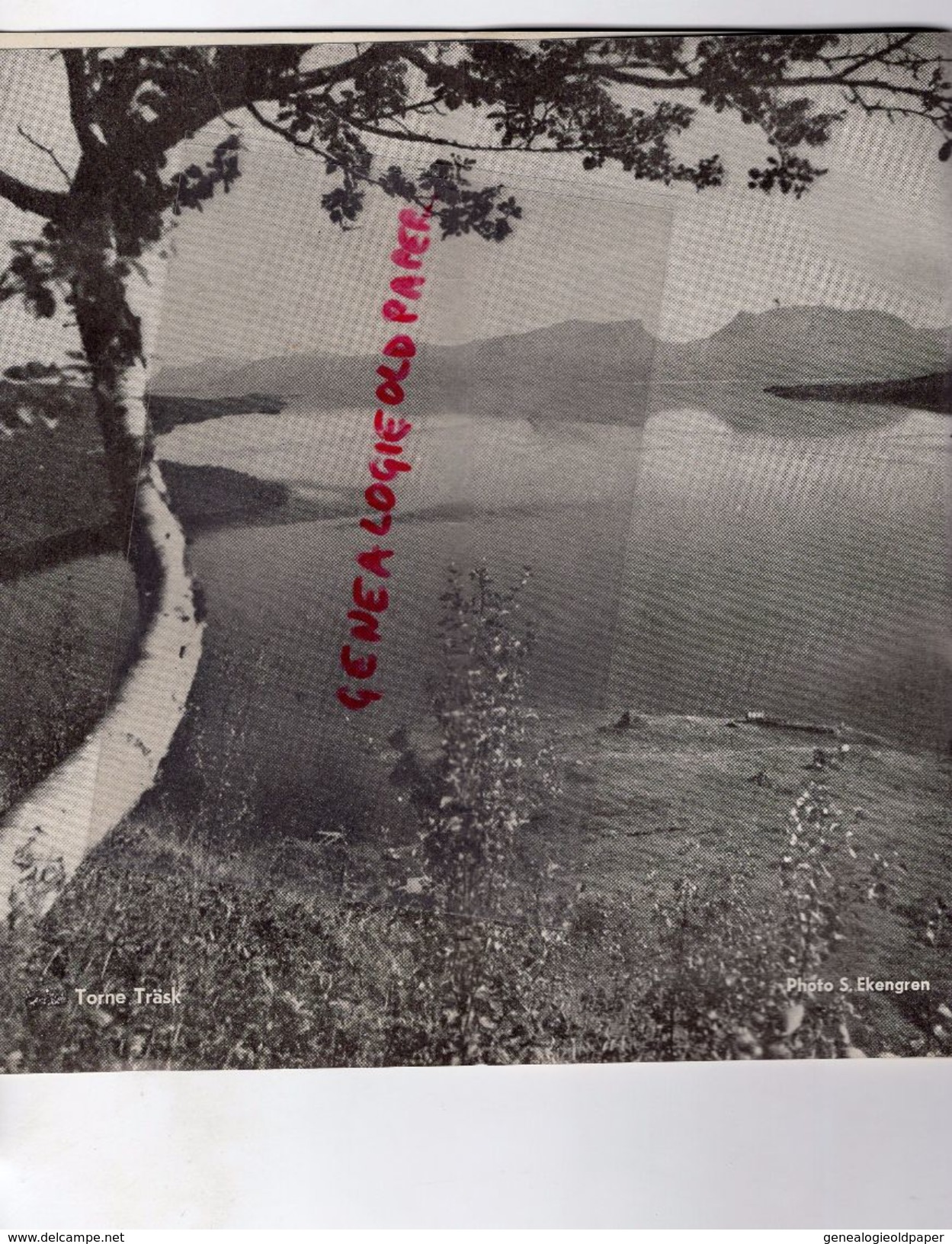 SUEDE LAPONIE--DEPLIANT TOURISTIQUE - 1950-KIRUNA-PORJUS-BJORKLIDEN-RIKSGRANSEN-LUSPEBRYGGAN-SALTOLUOKTA-SUORVA-AKKA - Tourism Brochures