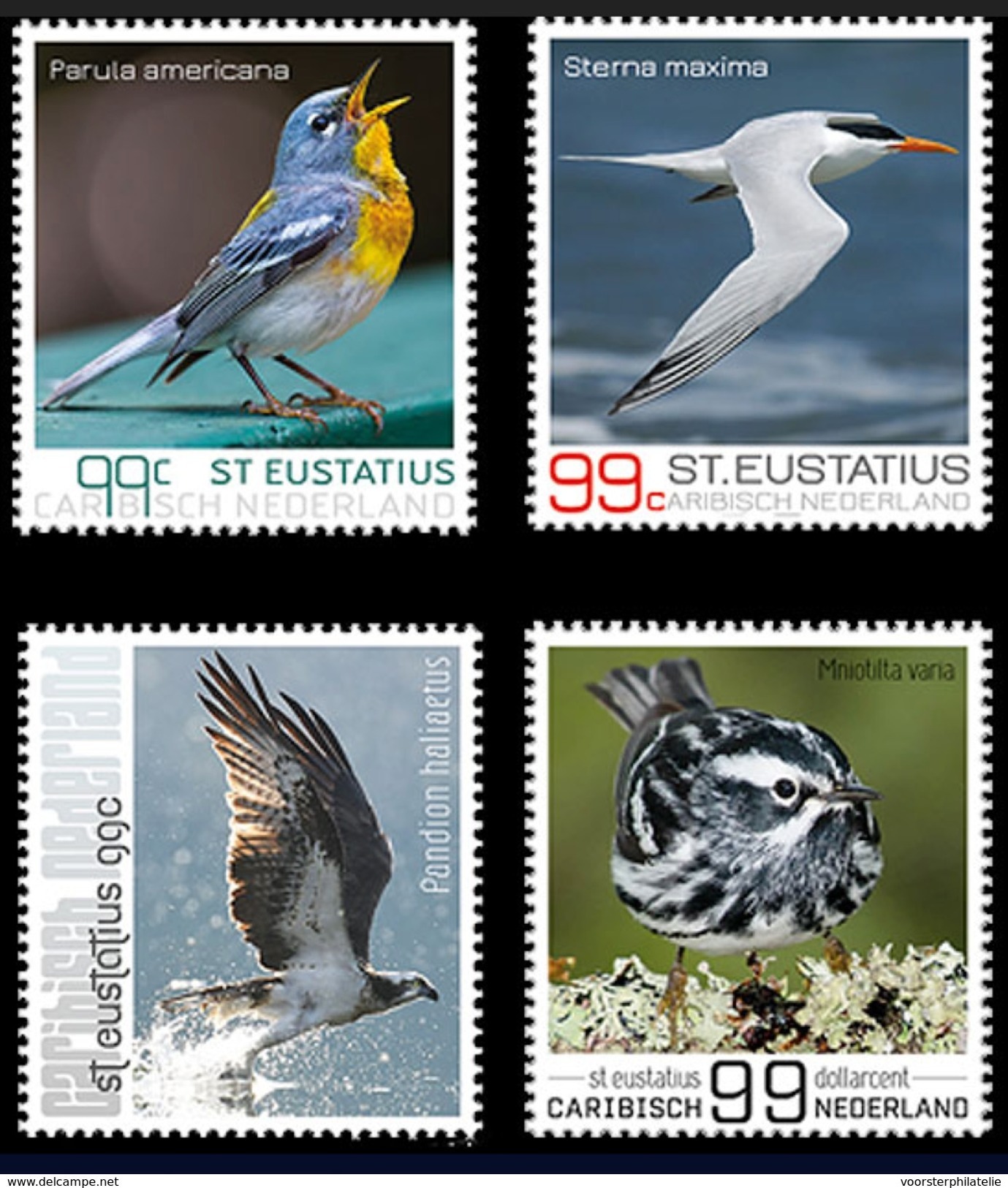 S 281 ++ CARIBISCH NEDERLAND ST. EUSTATIUS 2017 VOGELS BIRDS MNH POSTFRIS - Curacao, Netherlands Antilles, Aruba