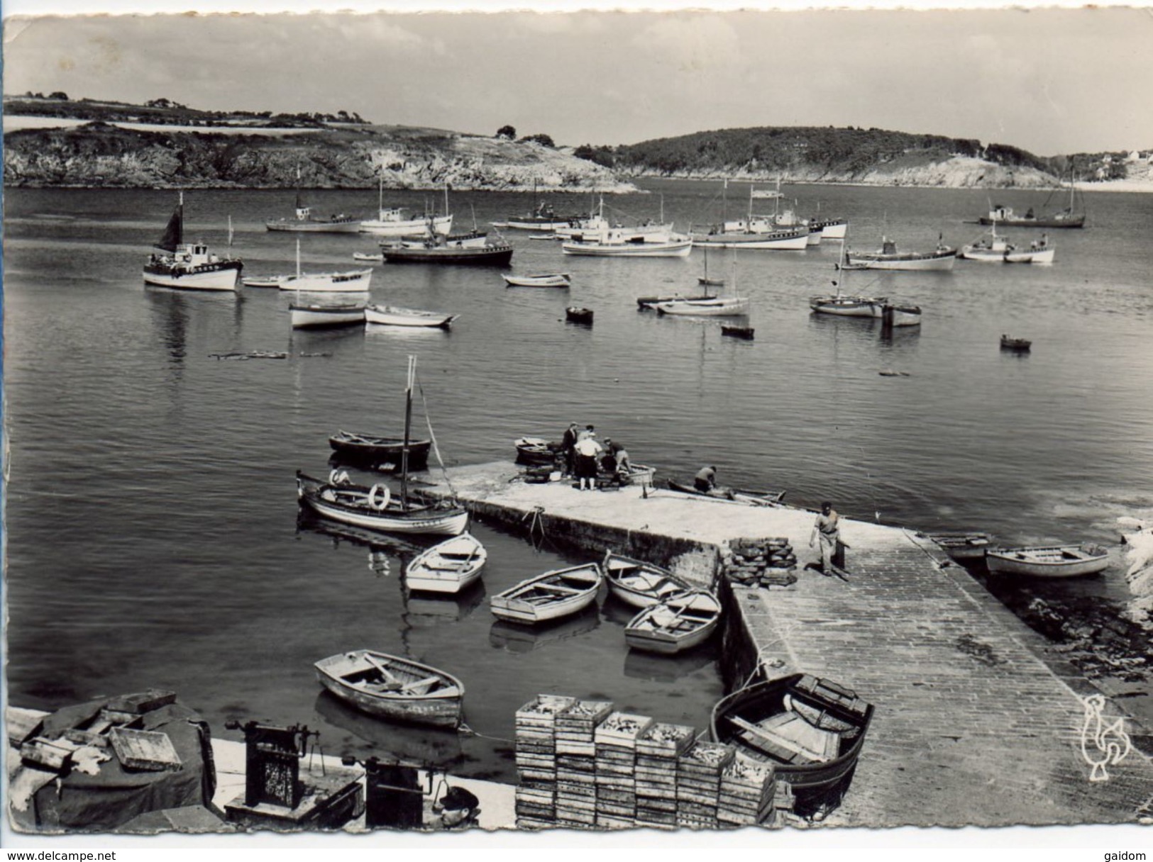 28 PORT MANECH - Les Sardiniers Au Mouillage Dans Le Port. Au Fond L'Embouchure Du Belon (animée) - Autres & Non Classés