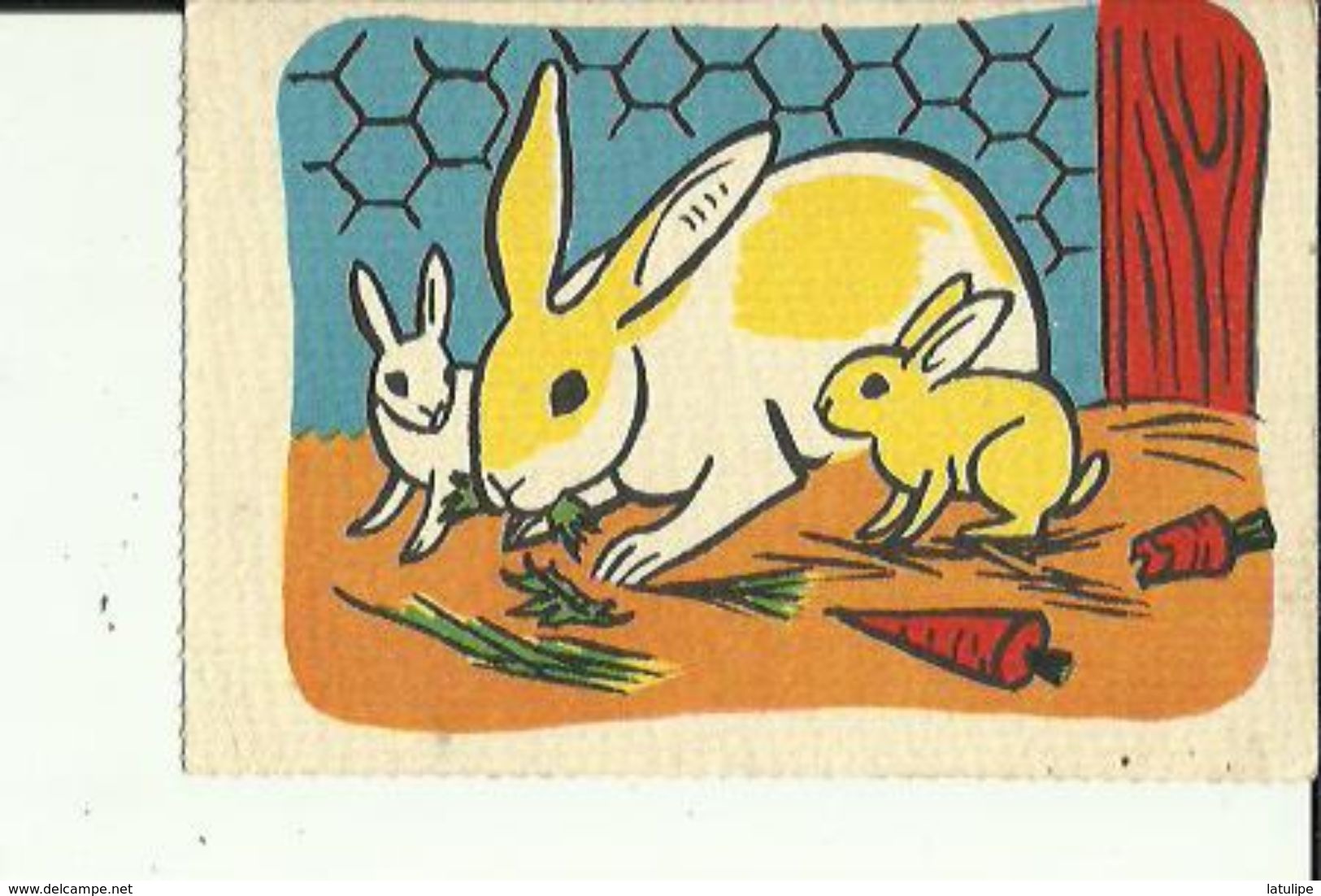 Carte Postale  Dessin D'une Lapine Mangeant Avec Ses Petits En Couleur _Neuve - Autres & Non Classés