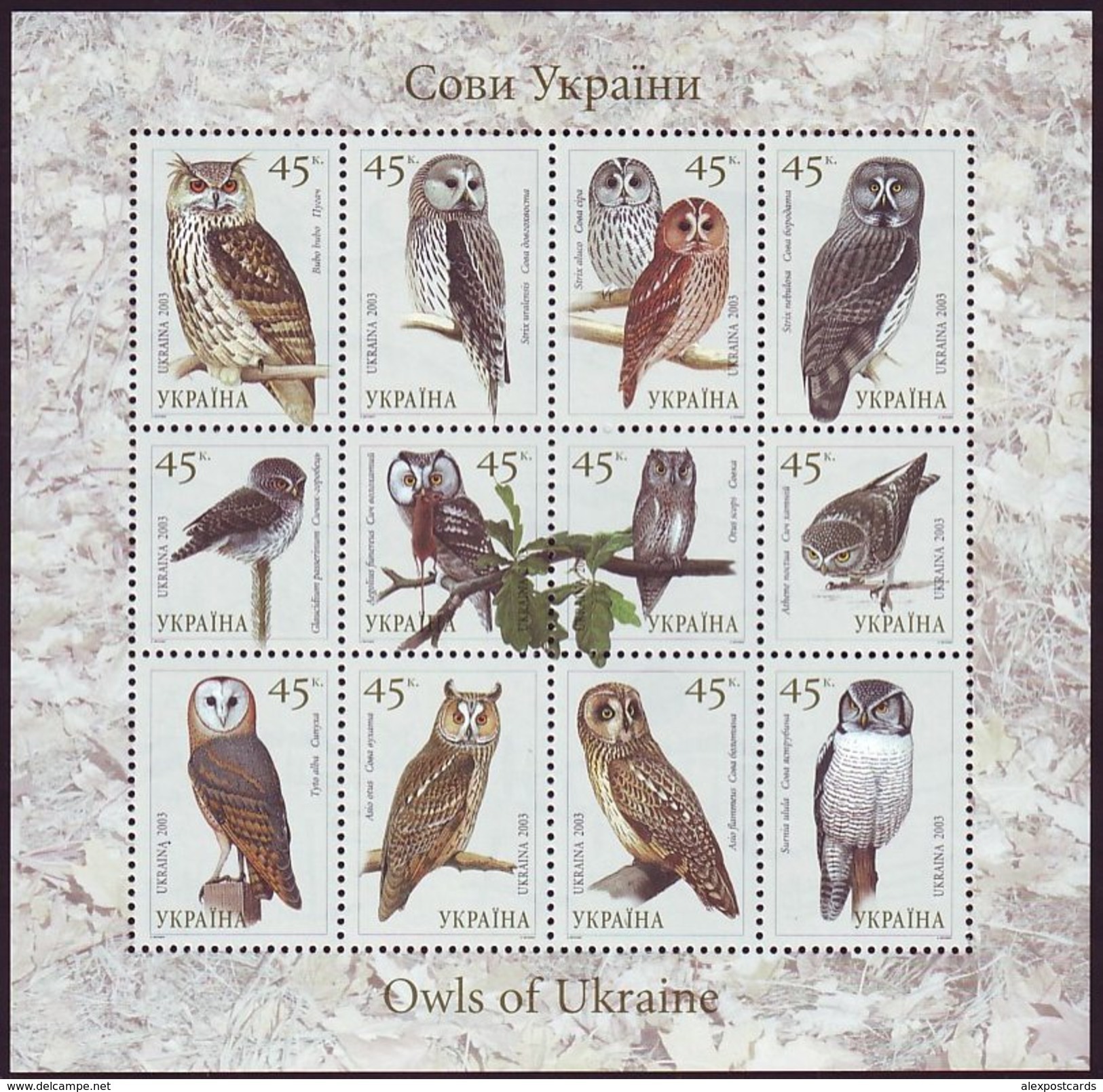 UKRAINE 2003. OWLS OF UKRAINE - EULEN - CHOUETTE - LECHUZA. Mini-sheet Of 12 Stamps. Mi-Nr. 574-585. MNH (**) - Ukraine