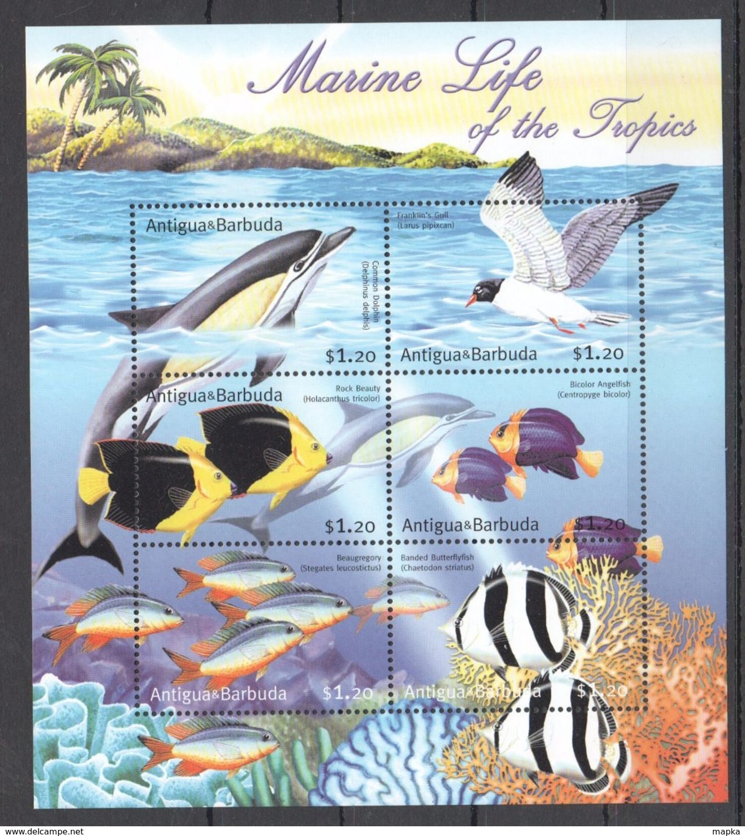 P634 ANTIGUA & BARBUDA MARINE LIFE OF THE TROPICS 1KB MNH - Marine Life