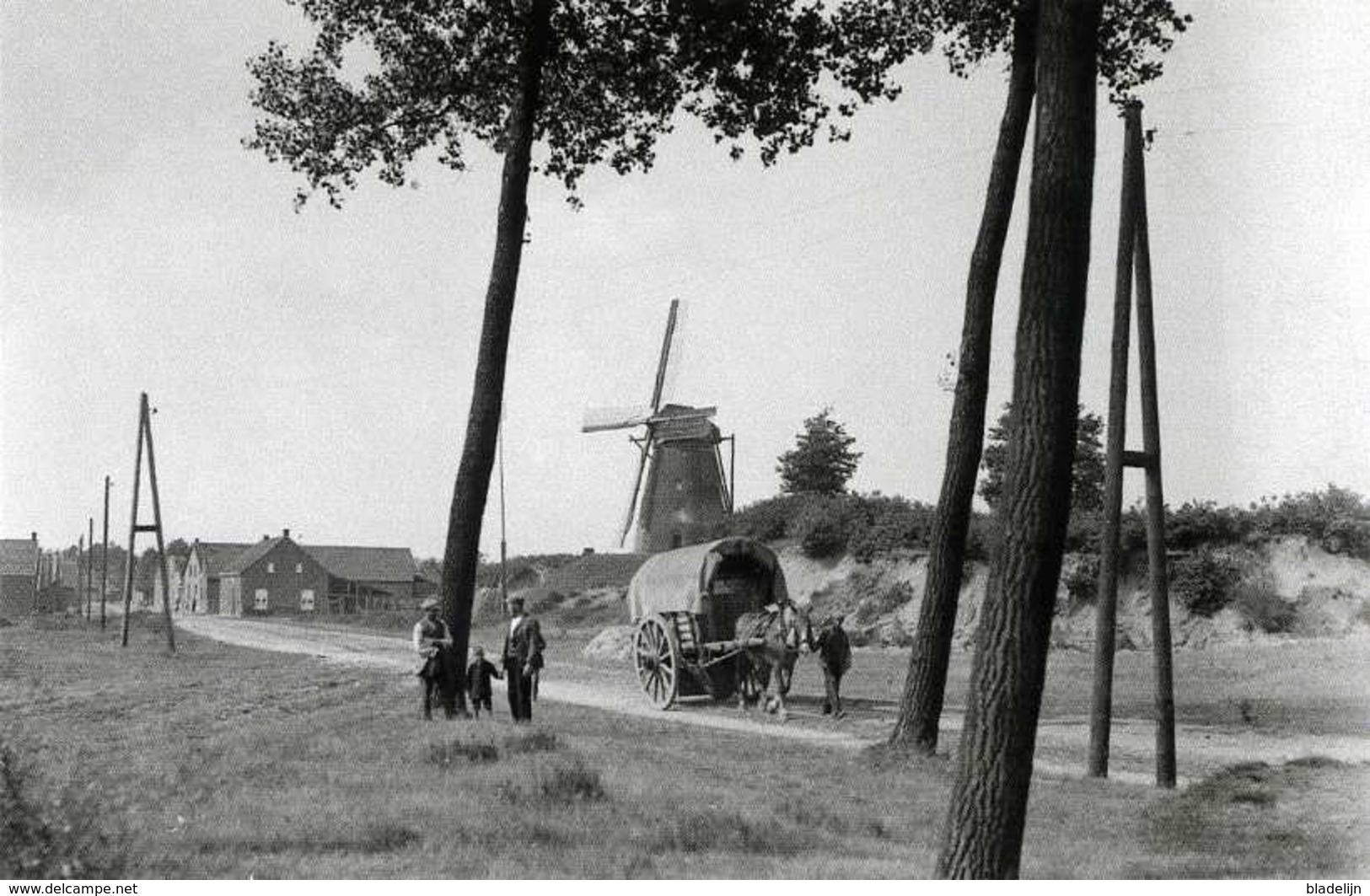 MONTFORT - Gem. Roerdalen (Limburg) - Molen/moulin - De Verdwenen Stenen Bergmolen Pouls Met Huifkar In 1932. TOP! - Sonstige & Ohne Zuordnung