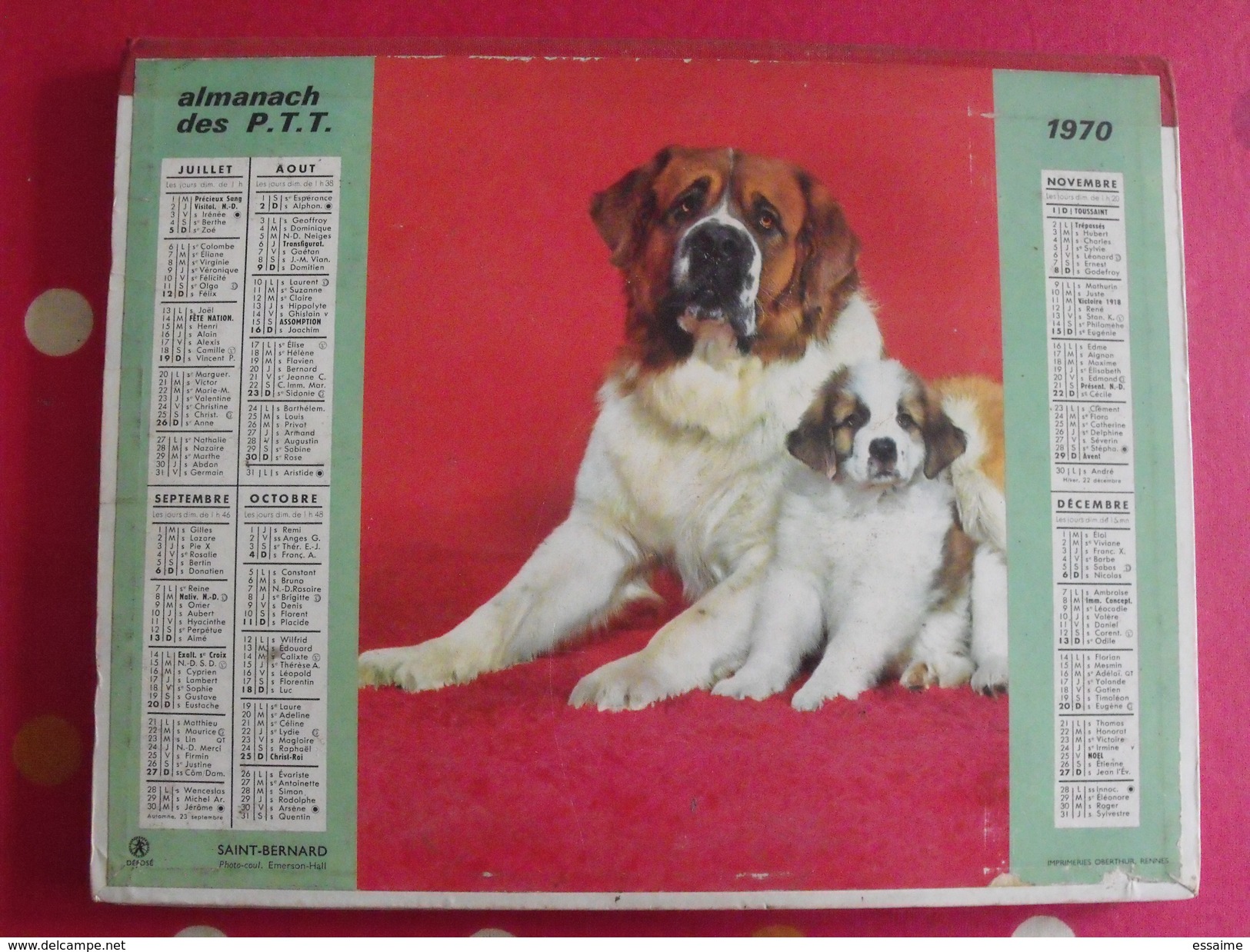 Calendrier Postes Almanach Des P.T.T. Angers + Liste Des Communes De France 210 Pages. Chien Chat - Grand Format : 1961-70