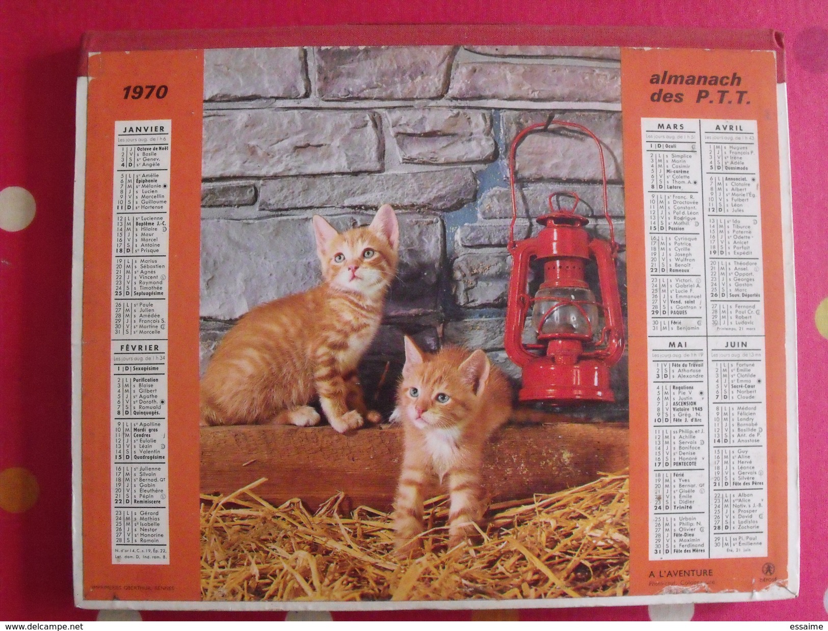 Calendrier Postes Almanach Des P.T.T. Angers + Liste Des Communes De France 210 Pages. Chien Chat - Grand Format : 1961-70