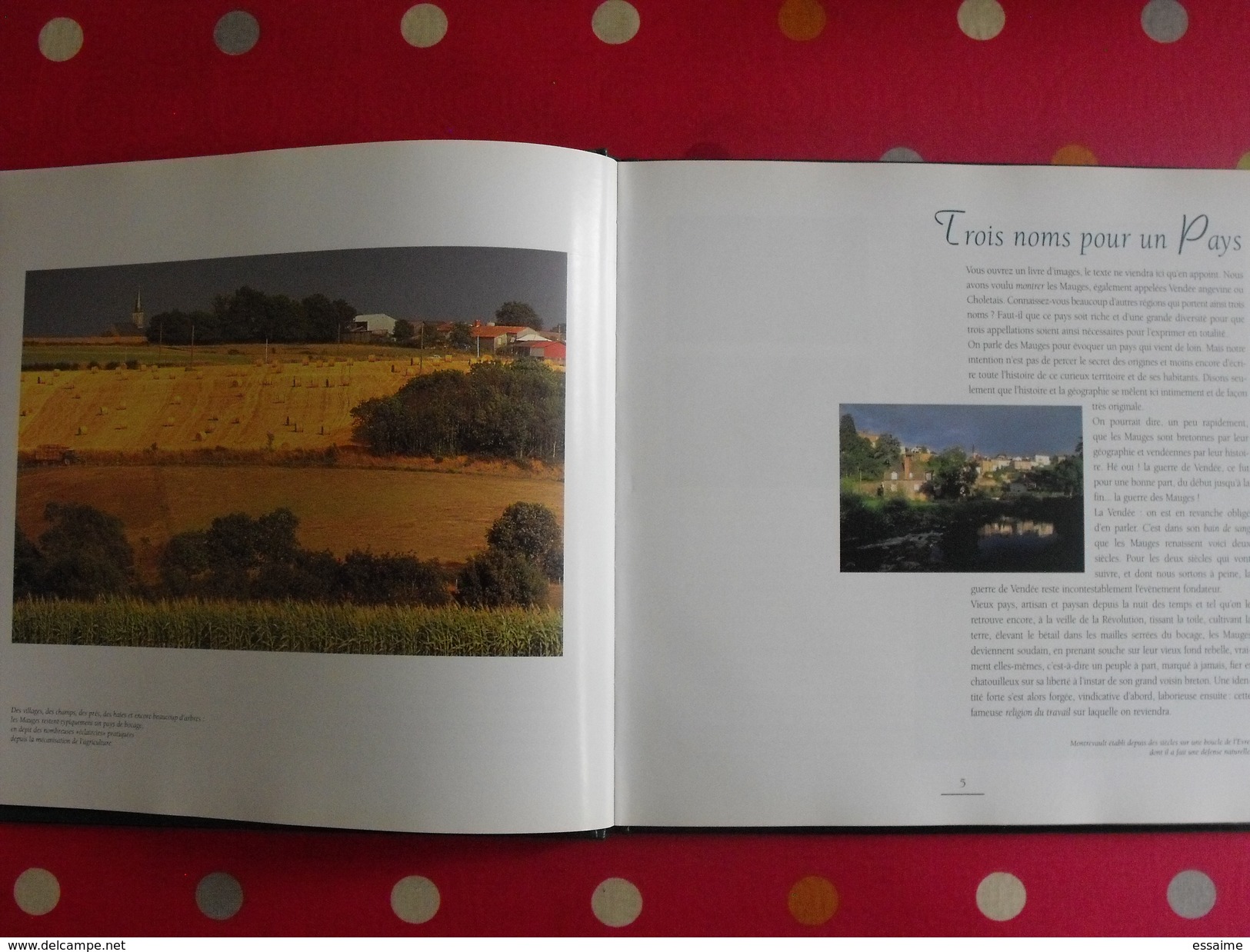 Le pays des Mauges entre Loire et bocage. Boisleve Drouet Gabory. Siloë 1996. superbes photos