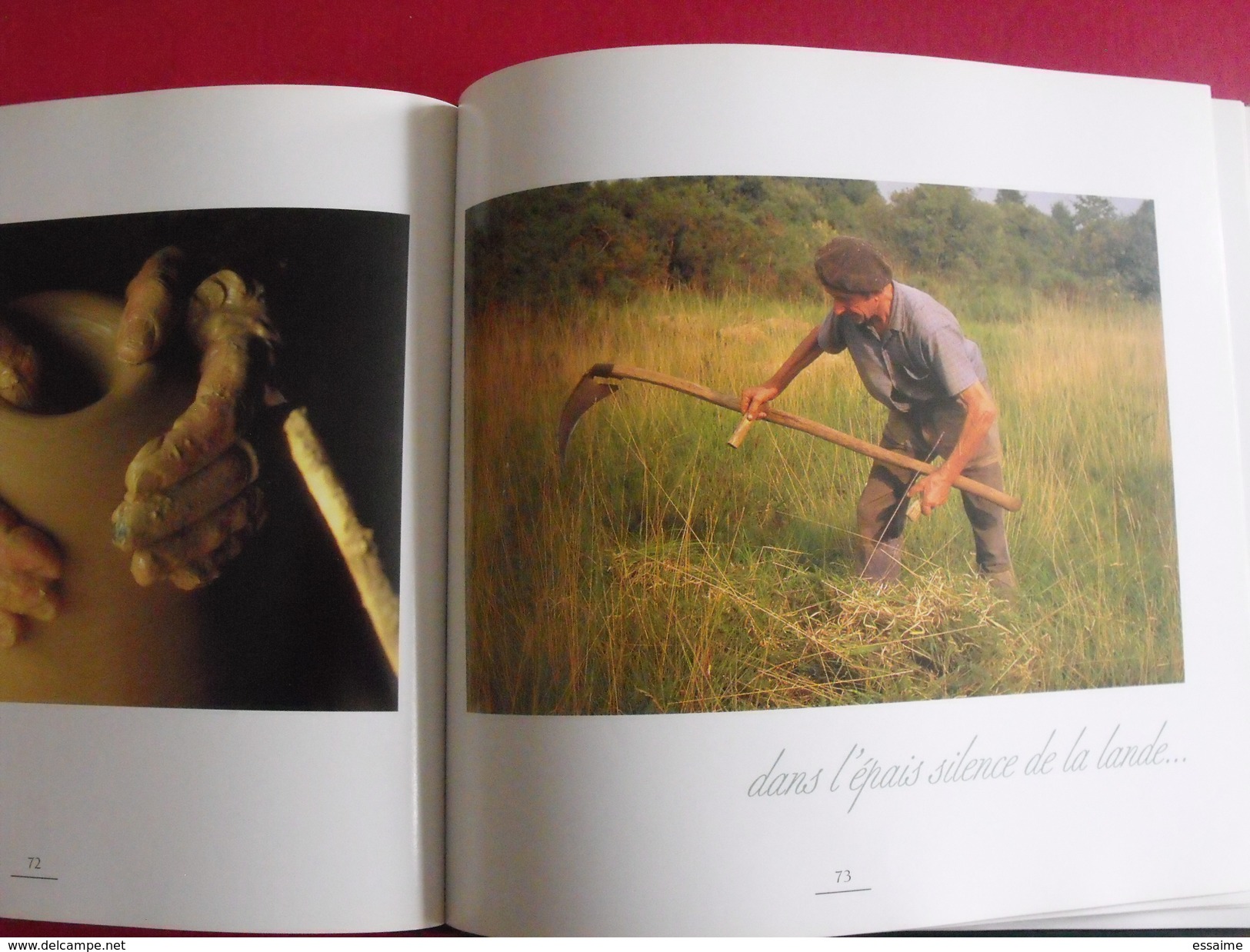 Le pays des Mauges entre Loire et bocage. Boisleve Drouet Gabory. Siloë 1996. superbes photos