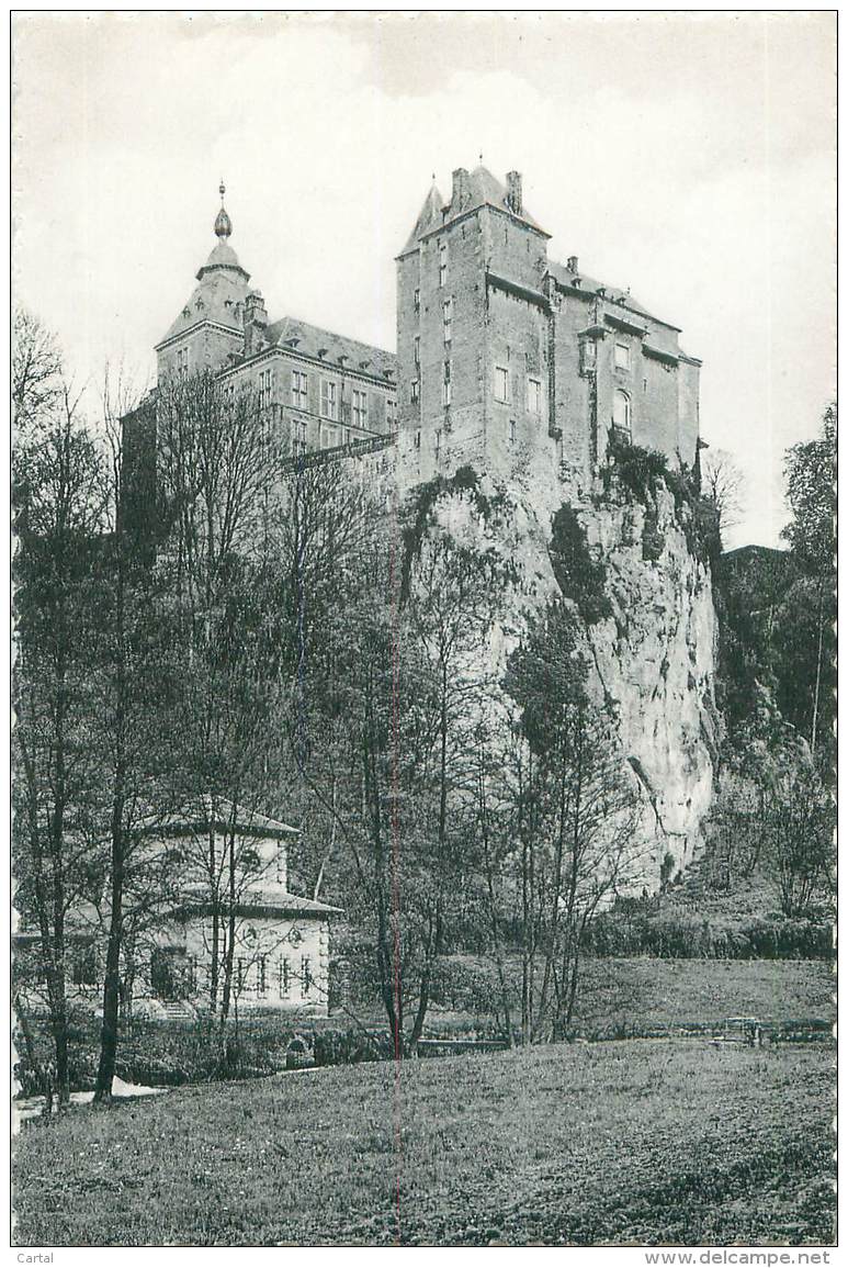 Château De MODAVE - Modave