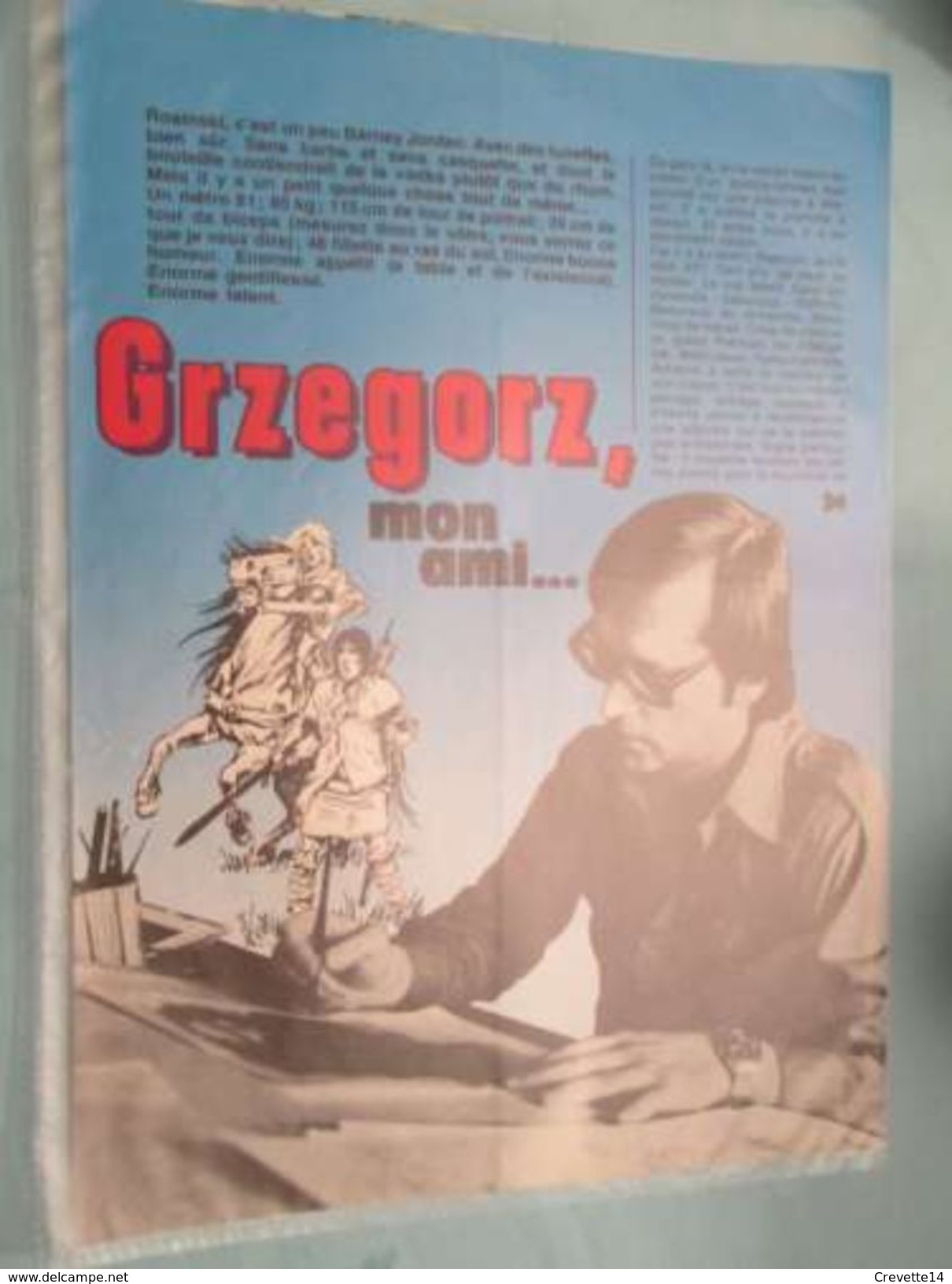 THORGAL DESSINATEUR GRZEGORZ ROSINSKI -  Pour  Collectionneurs ...     Page De Revue Des Années 70 , Peut être Plastifié - Thorgal