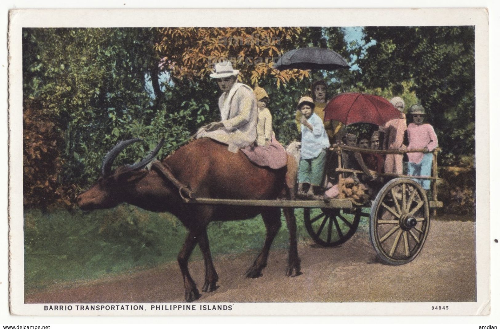 Philippines Barrio Transportation Ox Drawn Cart C1930s Vintage Curt Teich Postcard M8631 - Philippines