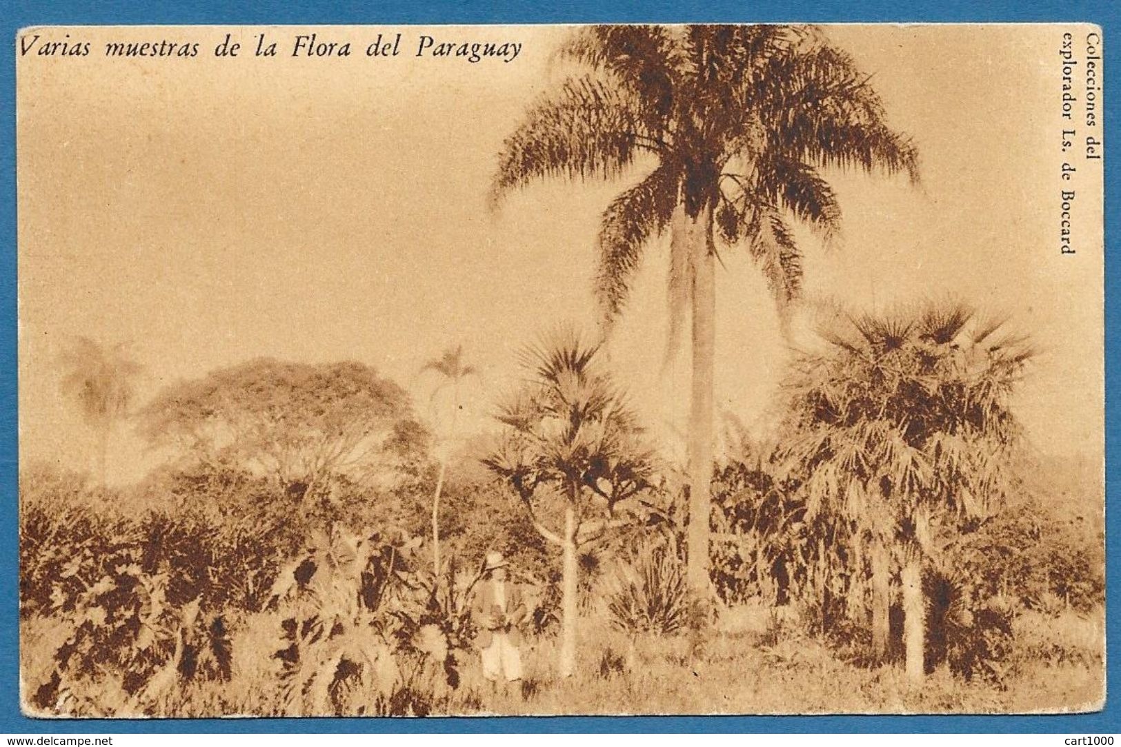 VARIAS MUESTRAS DE LA FLORA DEL PARAGUAY 1933 - Paraguay