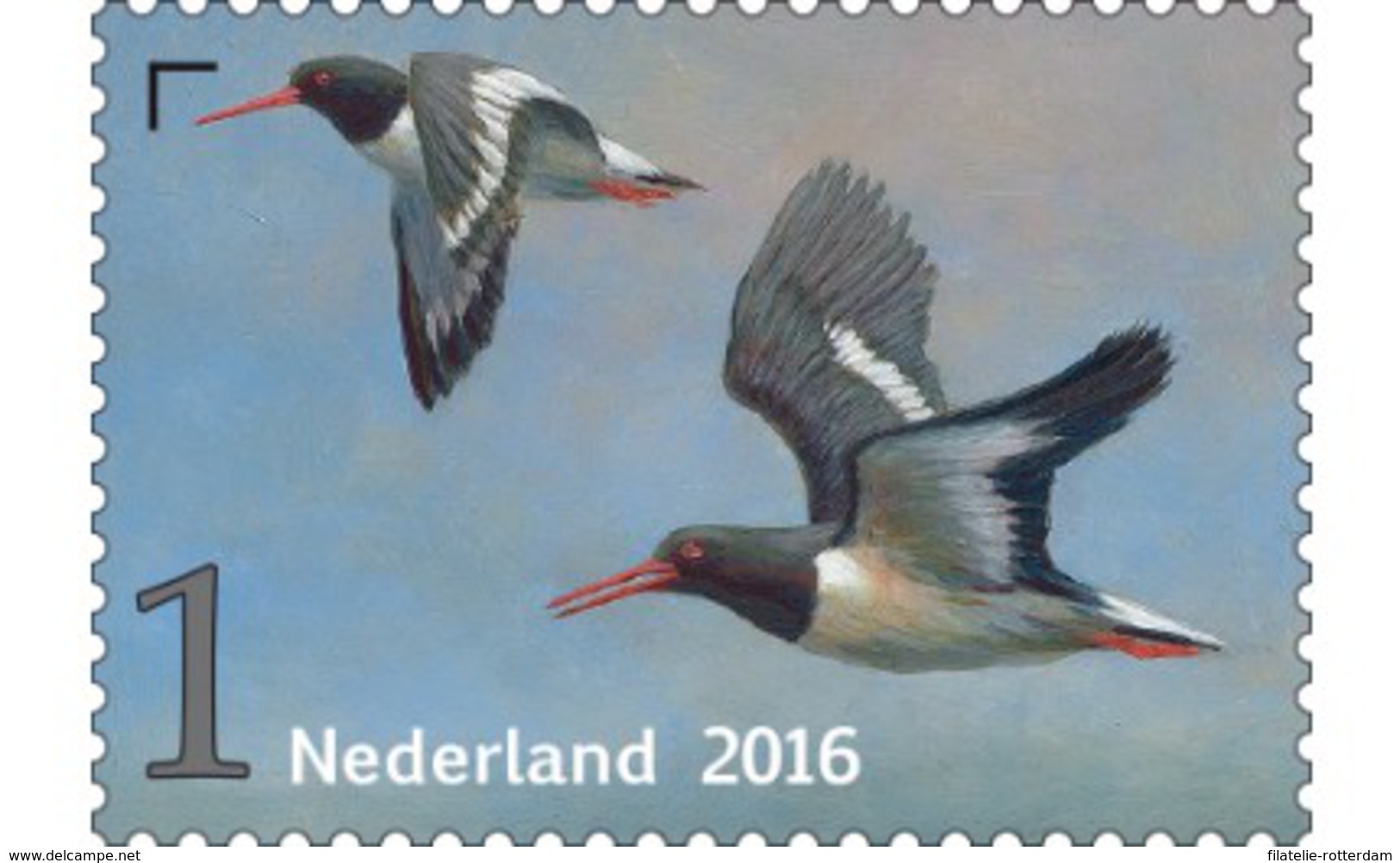 Nederland / The Netherlands - Postfris / MNH - Griend, Vogels Van Het Wad (6) 2016 - Unused Stamps