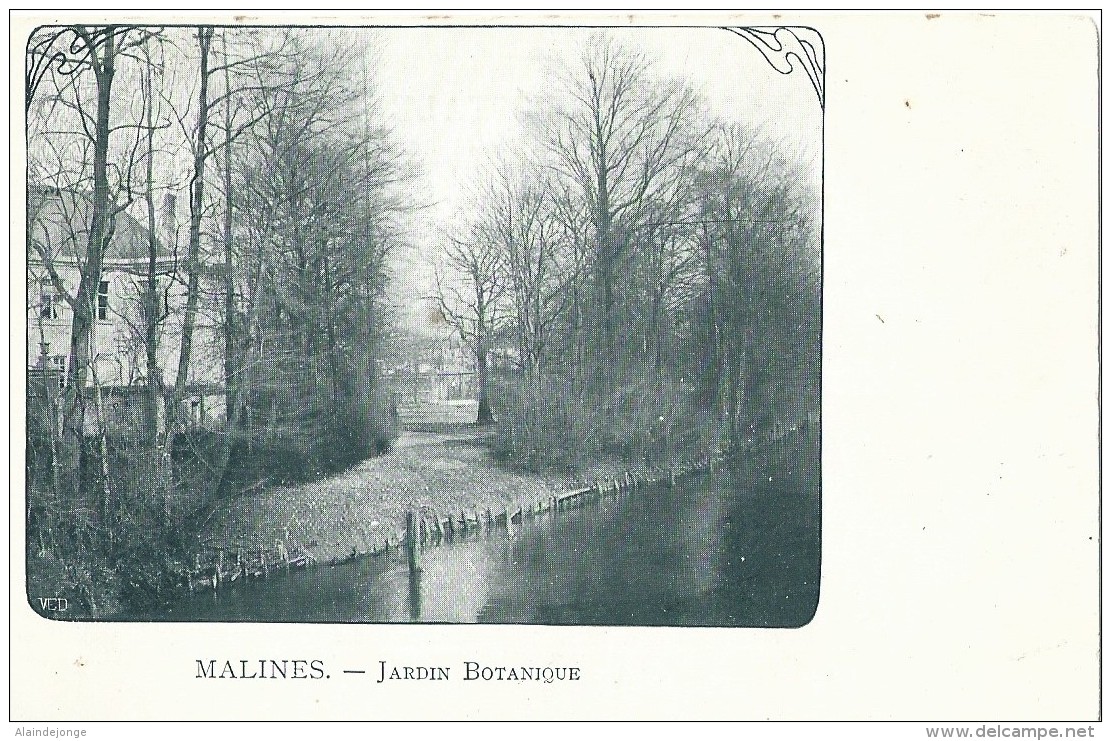 Mechelen Malines  Jardin Botanique - Malines