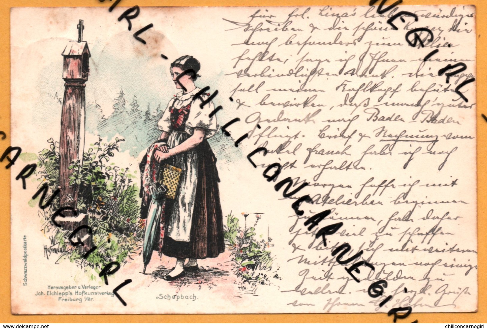 Litho - Schapbach - Femme - Parapluie - Croix - J. ELCHIEPP'S - SCHWARZWALDPOSTKARTE - 1900 - Todtmoos Vers Baden Baden - Bad Rippoldsau - Schapbach