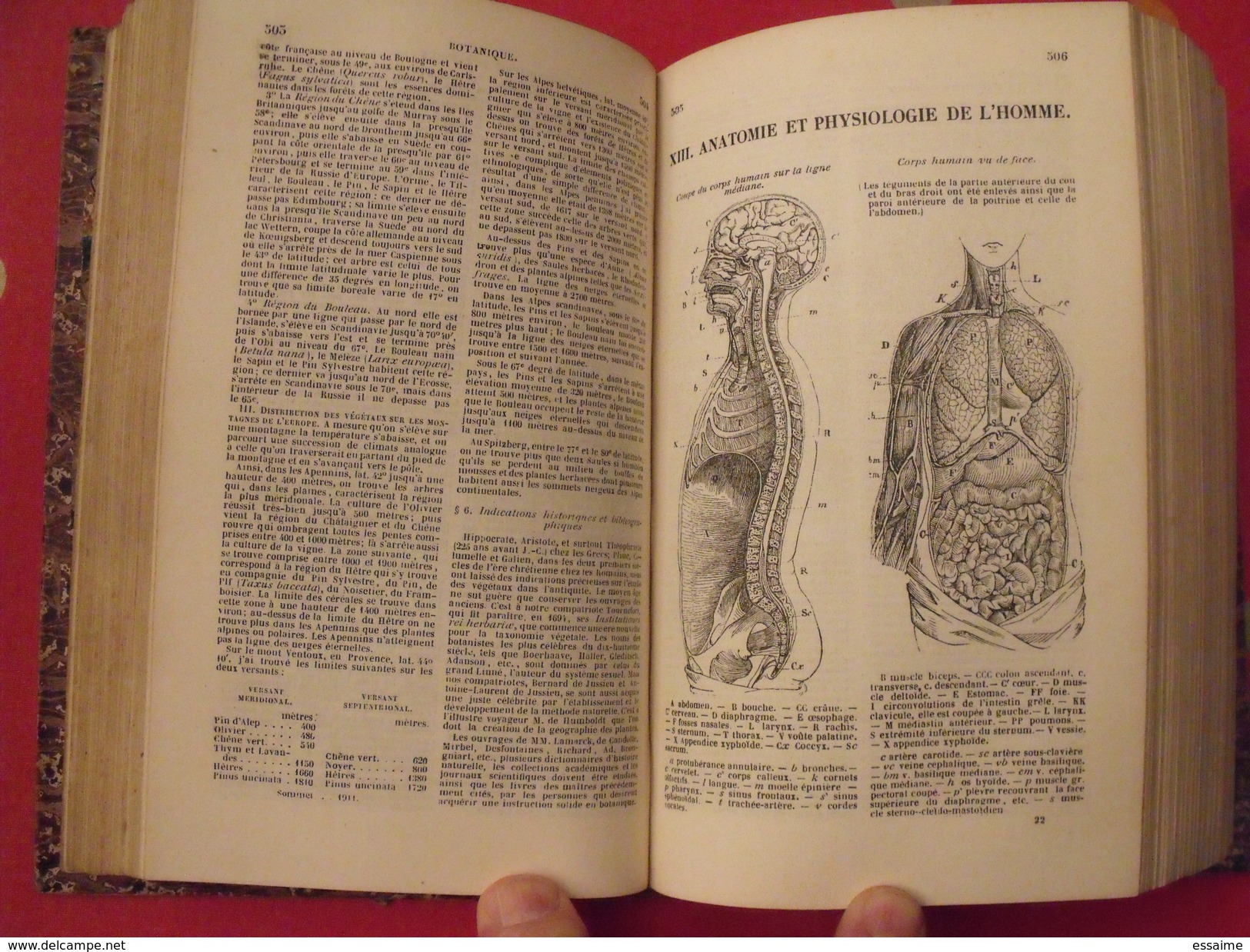 Un million de faits. Sciences Arts et lettres. Dubochet 1842. Collectif. nombreuses gravures