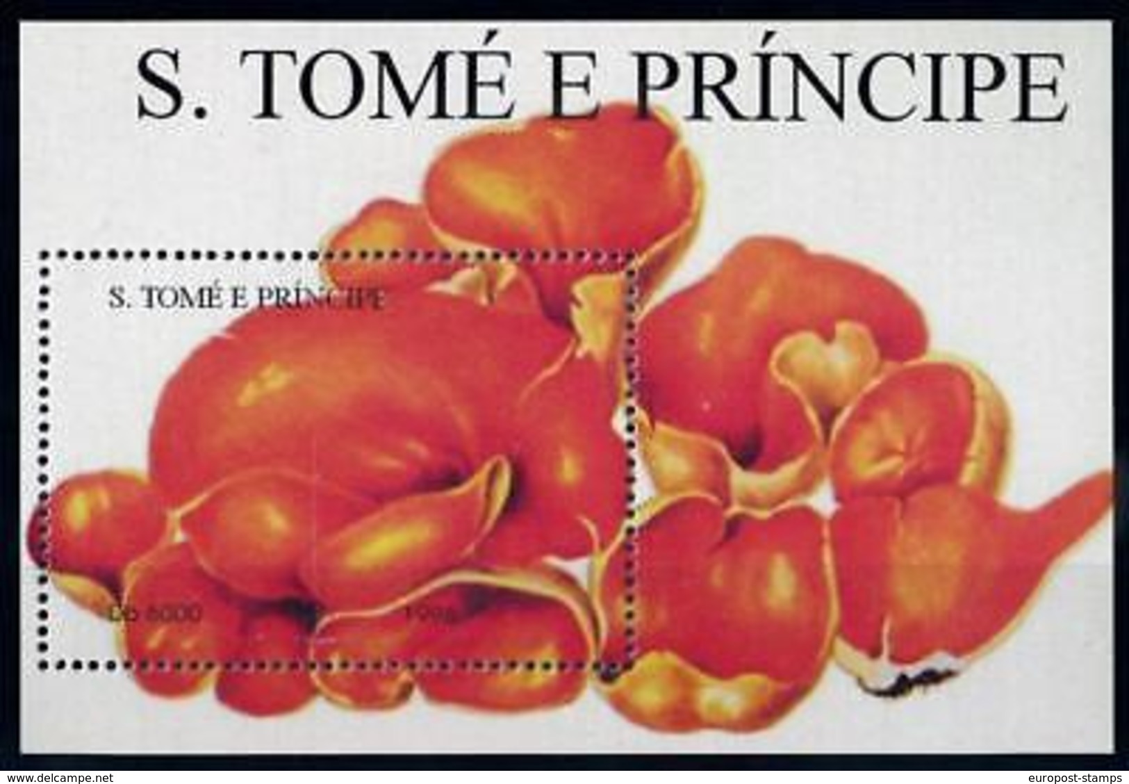 [68747] Sao Tome Et Principe 1998 Mushrooms Pilze Champignons Sheet MNH - Other & Unclassified