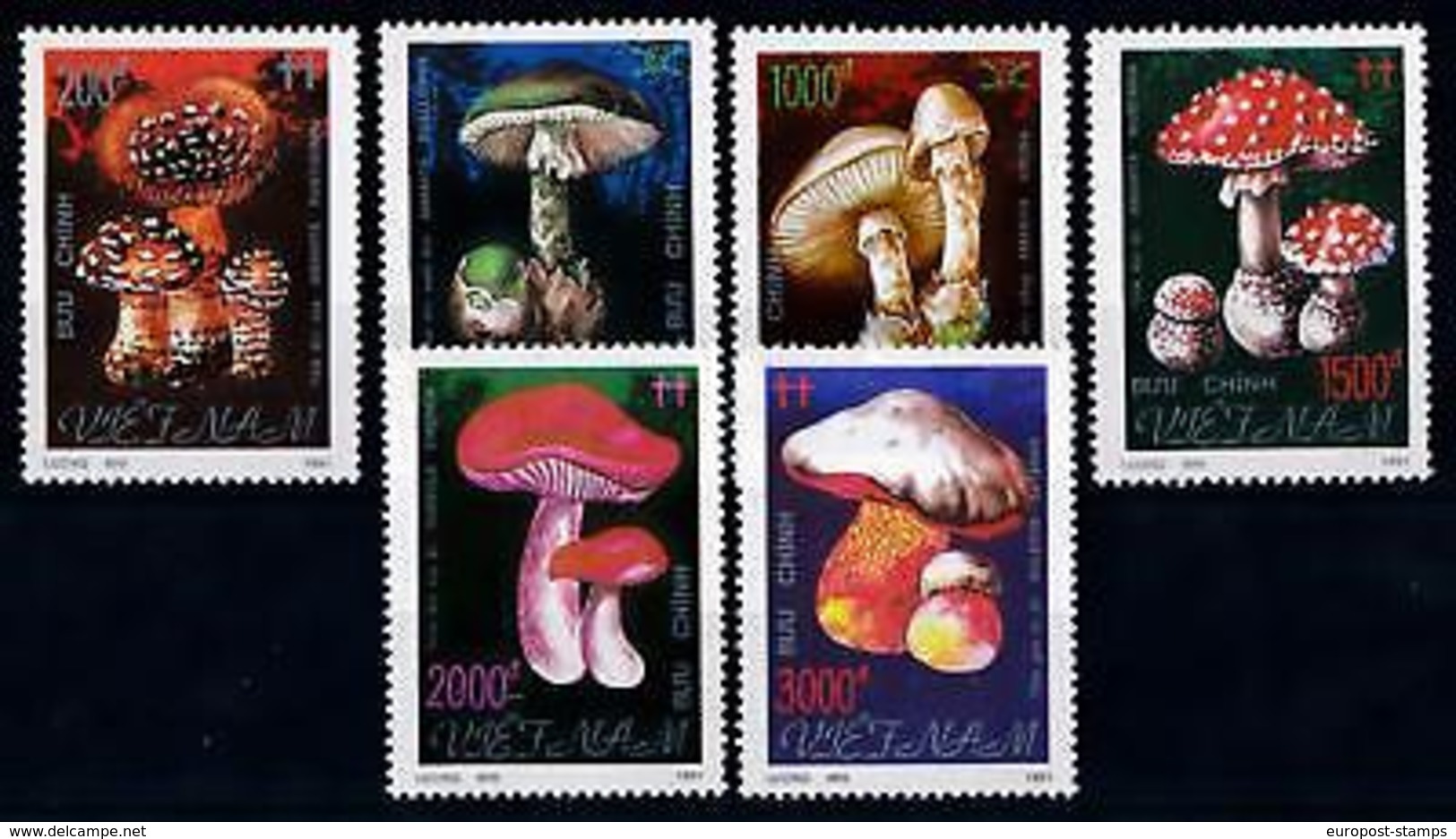 [68675] Vietnam 1991 Mushrooms Pilze Champignons  MNH - Other & Unclassified