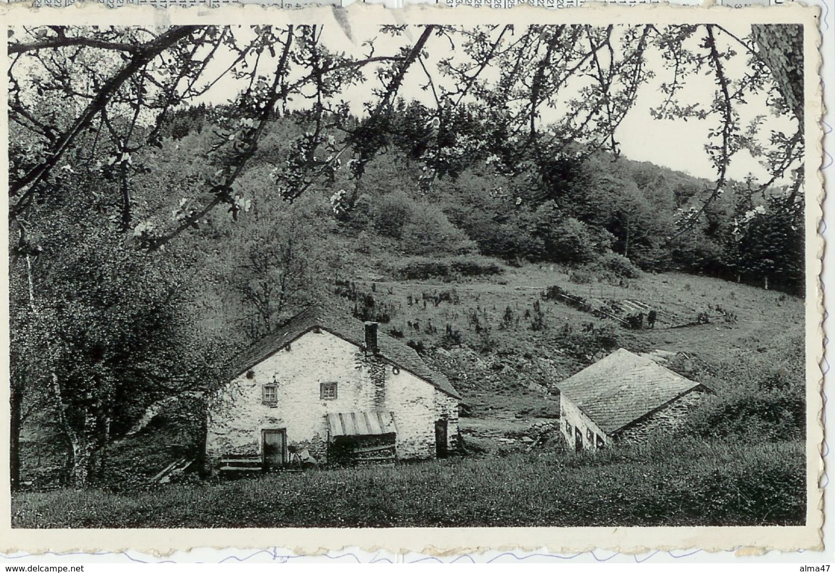 Bertogne - Vieux Moulin De Rahimont - Circulé 1959 - Edit. Fraselle André , Delhaize Le Lion, Bertogne - Bertogne