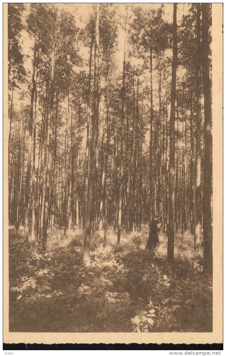 Belgique --  H.Amandus  - Broerders Van Liefde  - Beernen --  Omgeving - Beernem