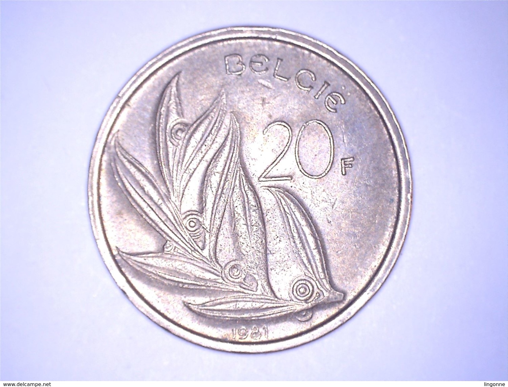 BELGIË - 20 FRANCS 1981 - 20 Francs