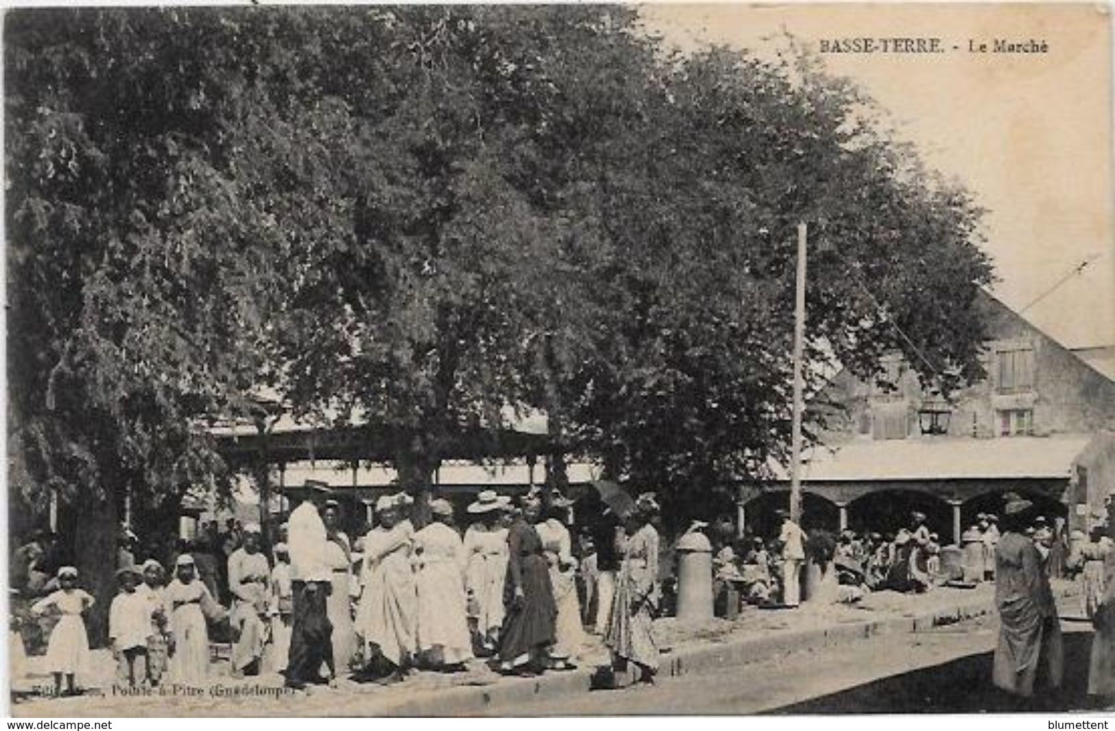 CPA Basse Terre Guadeloupe Non Circulé Colonies Françaises Marché - Basse Terre