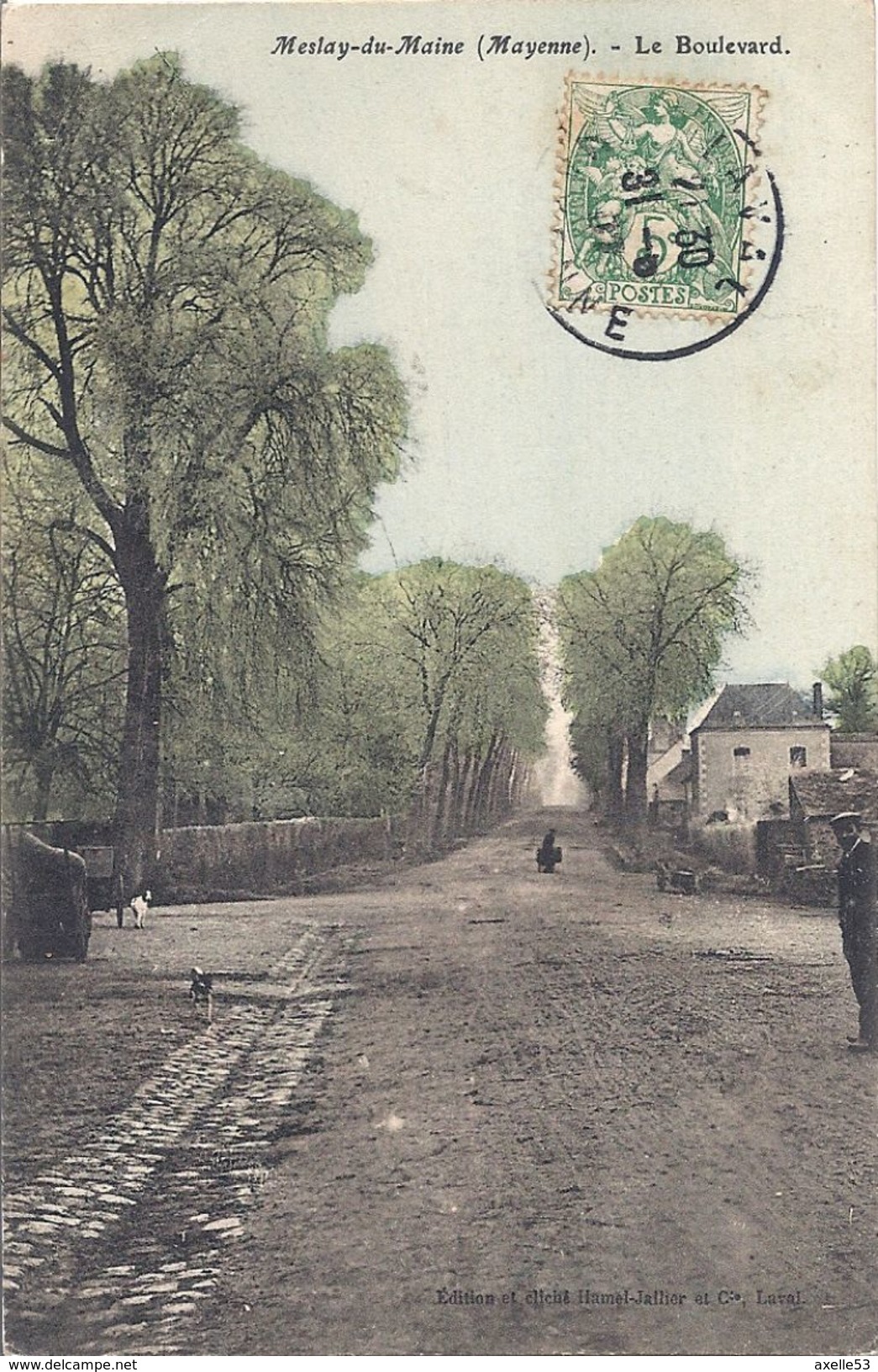 Meslay Du Maine 53 (157)  Le Boulevard (carte Toilée) - Meslay Du Maine