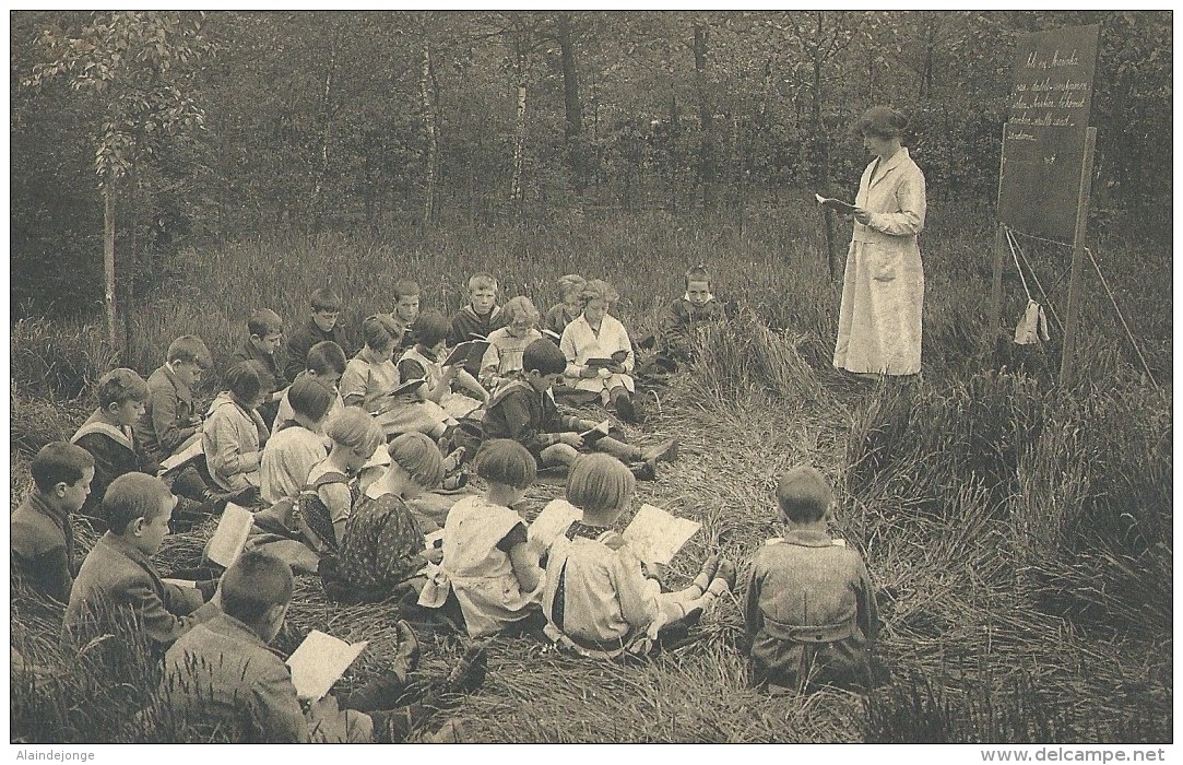 Kalmthout Heide-Calmpthout - Schoolvilla Diesterweg - Een Lekker Leesuurtje - Kalmthout