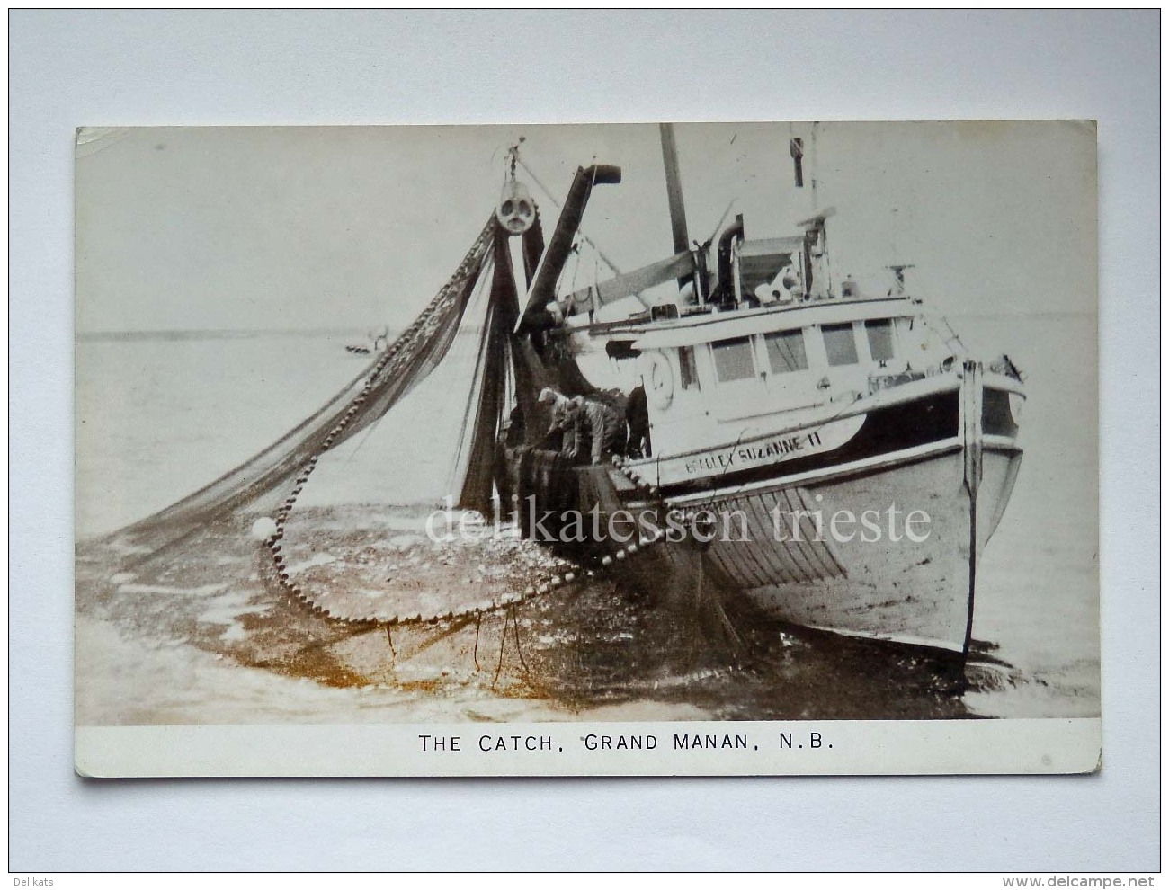 CANADA GRAND MANAN The Catch Fishing Boat Fisherman Boat Old Postcard - Altri & Non Classificati