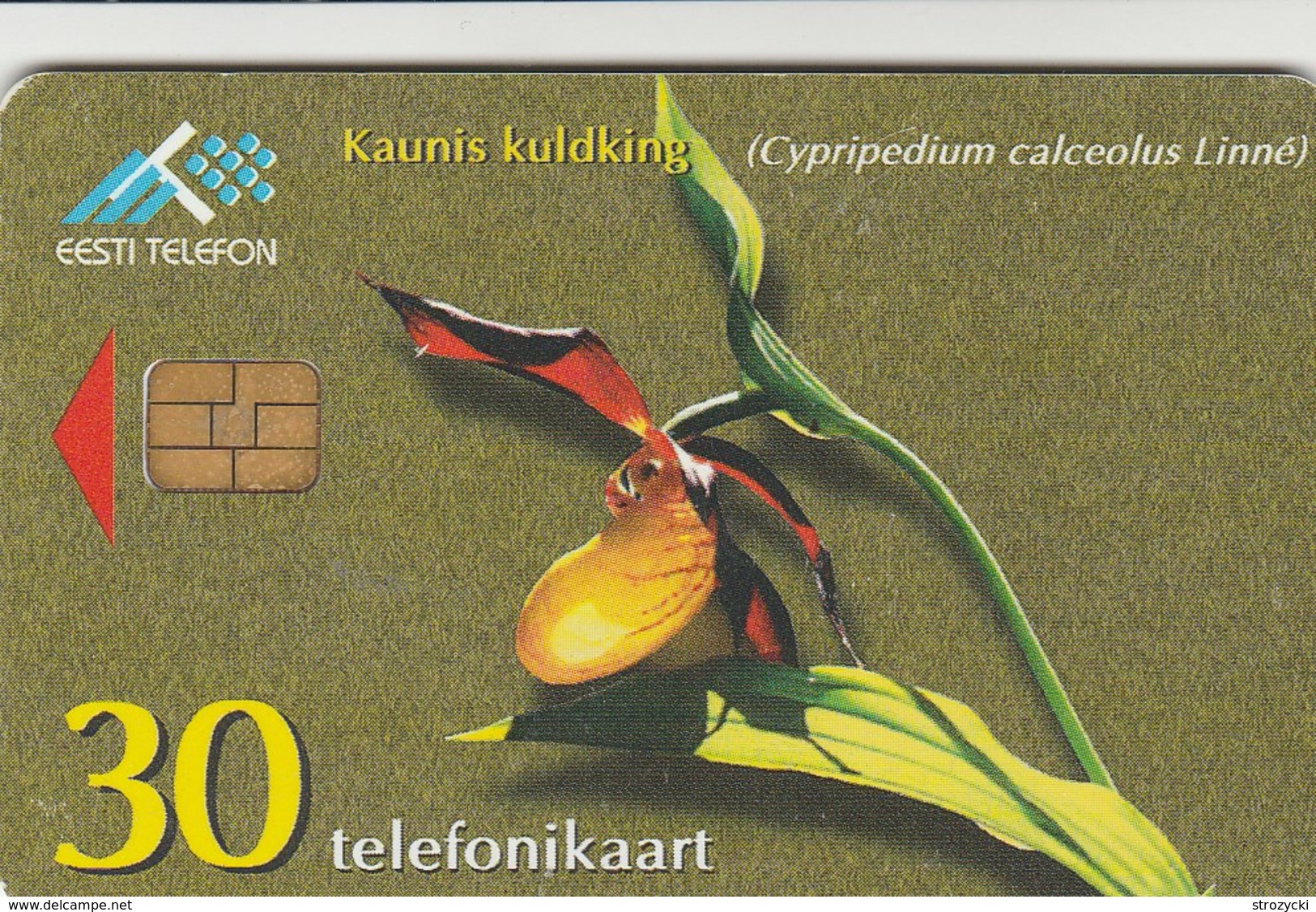 Estonia - Lady's-Slipper Orchid - Estonia