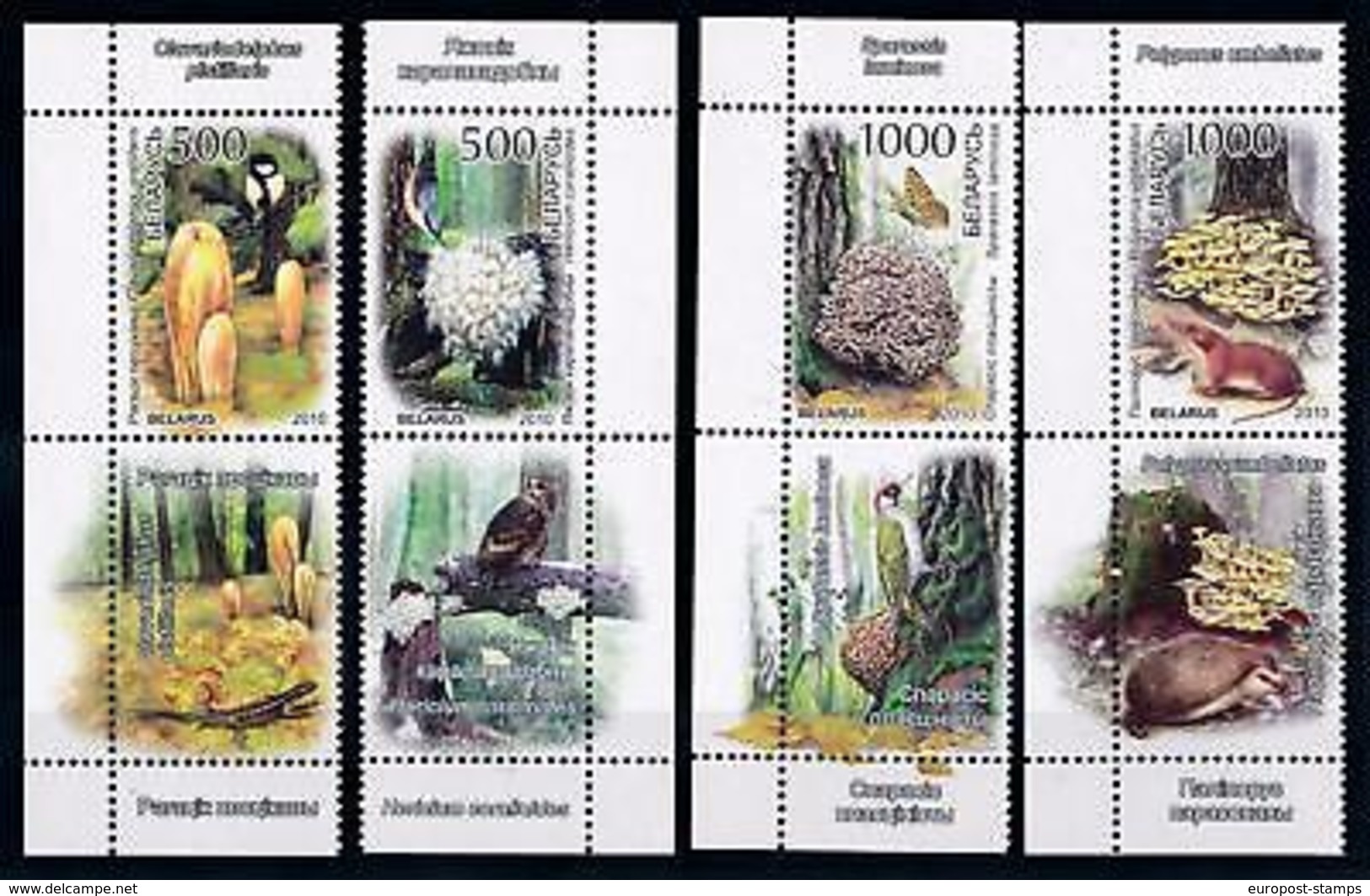[68893] Belarus 2010 Mushrooms Pilze Champignons Birds With Large Labels MNH - Other & Unclassified
