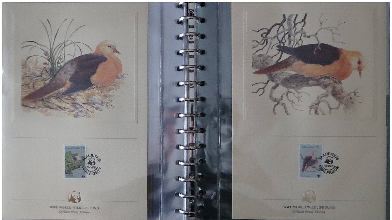 Belle collection 4/4 philatélique en étui du WWF dont timbres **, enveloppes 1er jour, cartes maximums... Pas commun !!!