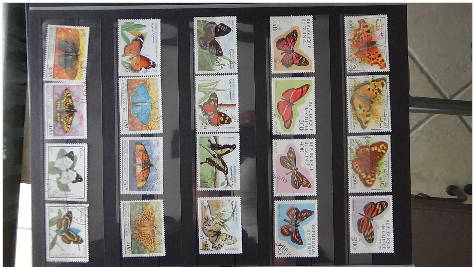 BCollection Thématiques Oblitéré Monde Sur Les Animaux Et Insections. Très Sympa  !!! - Collections (en Albums)