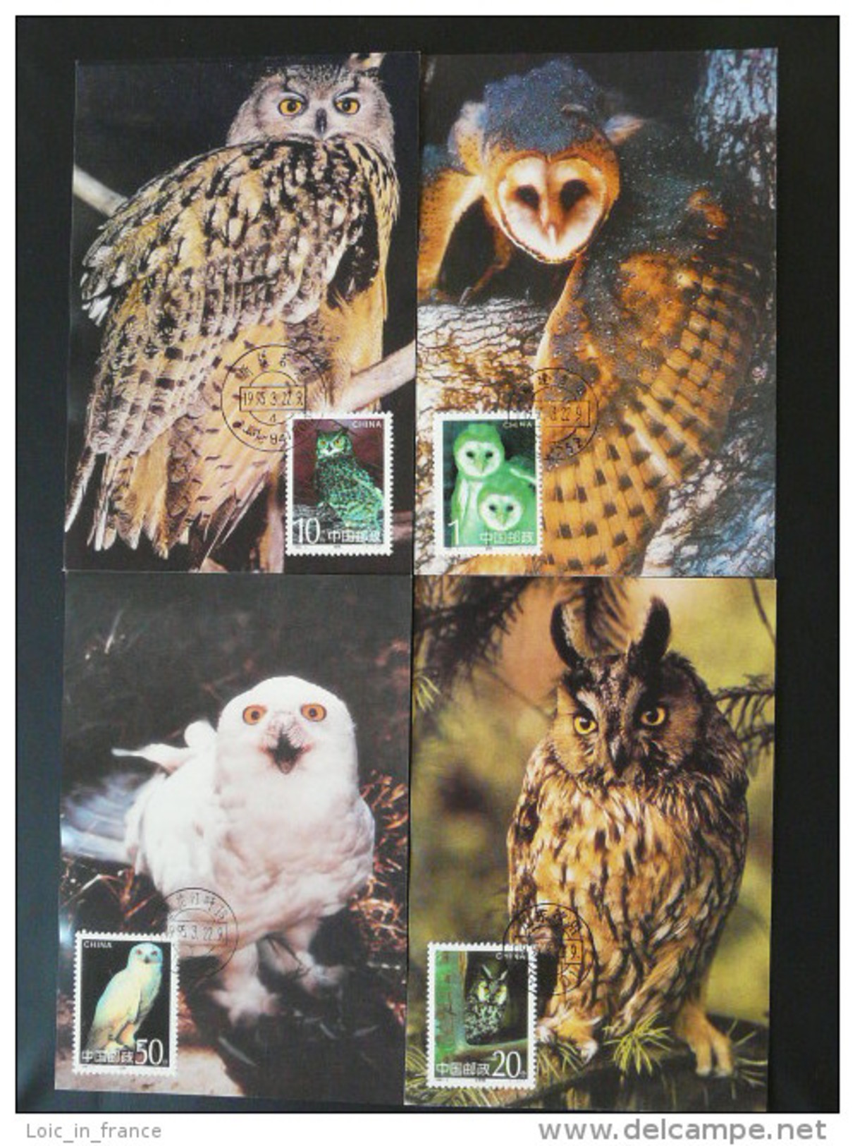 Carte Maximum Card (x4) Hibou Chouette Owl Chine Ref 61149 - Maximumkaarten