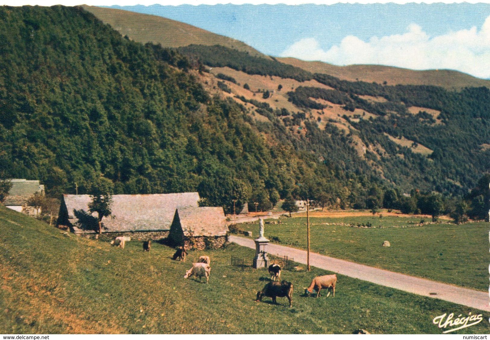 Vaches Animaux Vache Boeufs Veau Troupeau De Vaches Paturages Ferme Paysan Pâturage Vallée Du Lys Près Luchon - Vaches