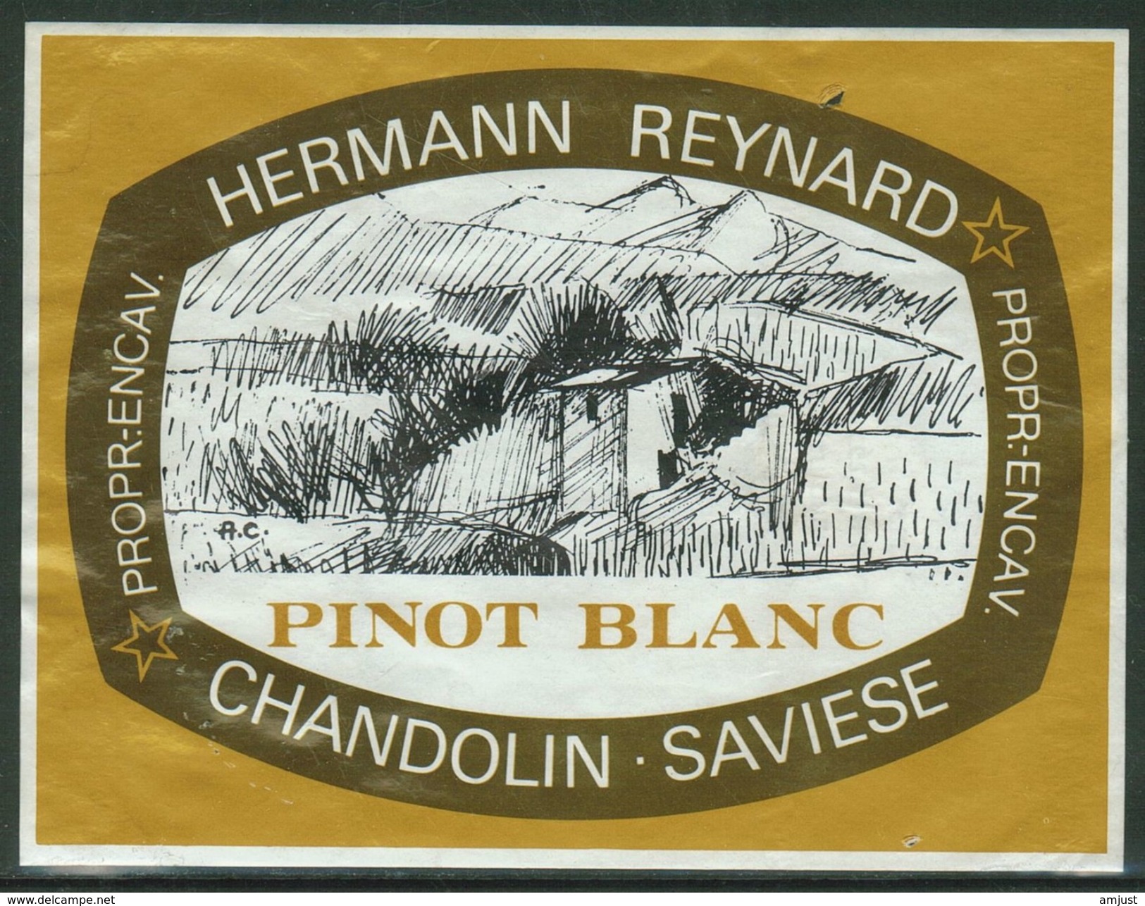 Rare // Etiquette // Pinot Blanc, Hermann Reynard, Chandolin-Savièse, Valais,Suisse - Autres & Non Classés