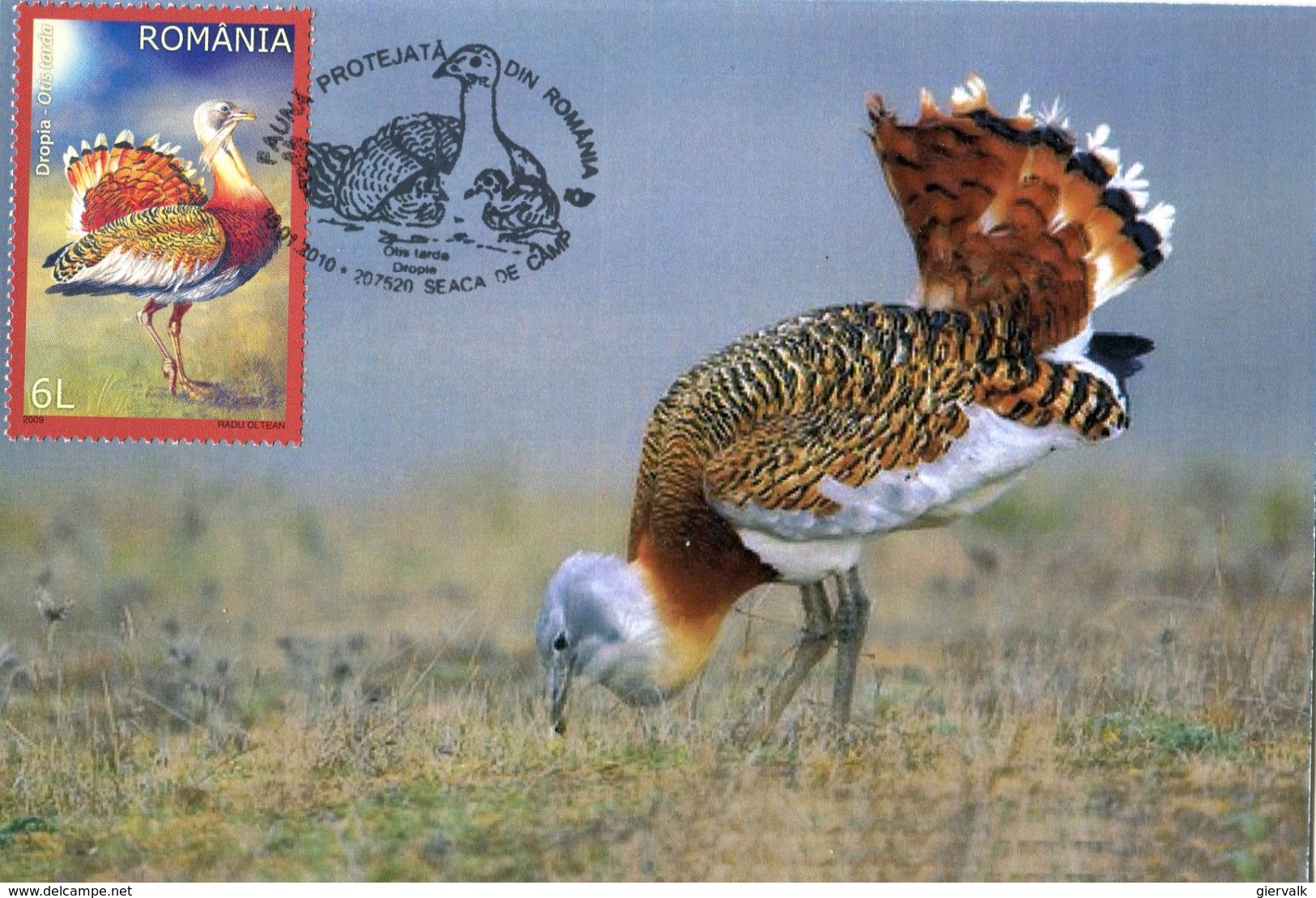 ROMANIA 2010 MAX.CARD With BIRD. - Andere & Zonder Classificatie