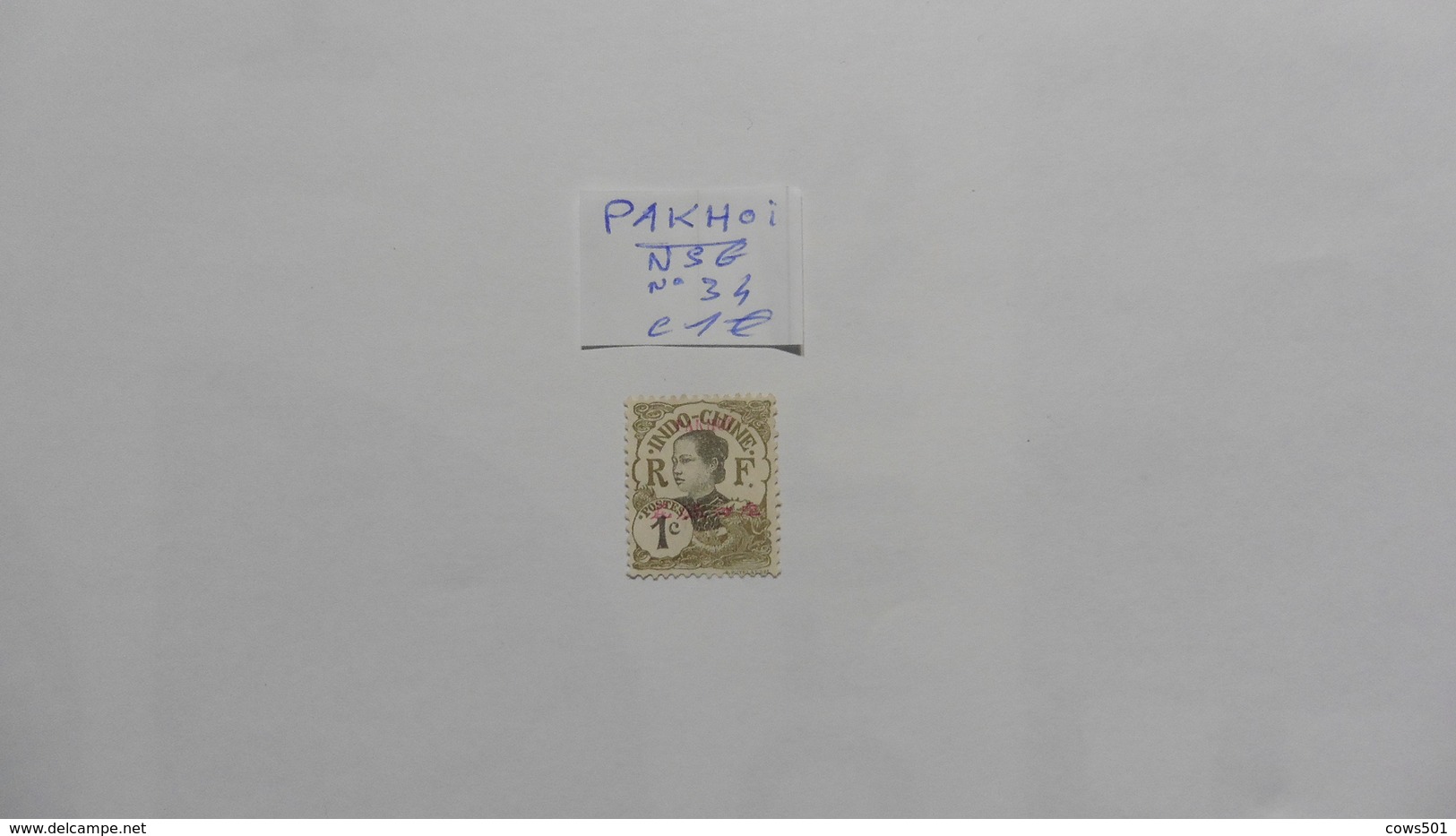 Pakhoï Timbre Neuf Sans Gomme N°34 - Unused Stamps
