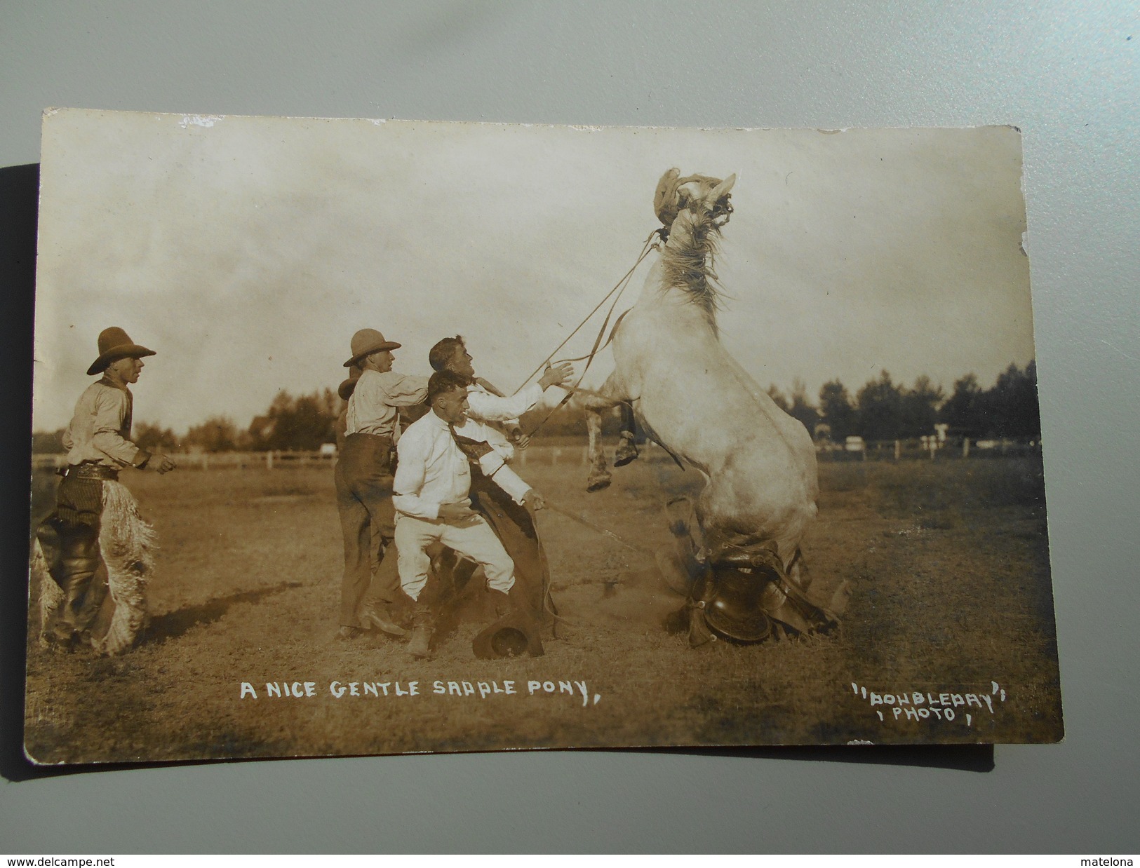 ETATS-UNIS WY WYOMING A NICE GENTLE SADDLE PONY  PHOTO DOUBLEDAY FOUNDED IN 1897 RODEO BULLRIDER - Autres & Non Classés