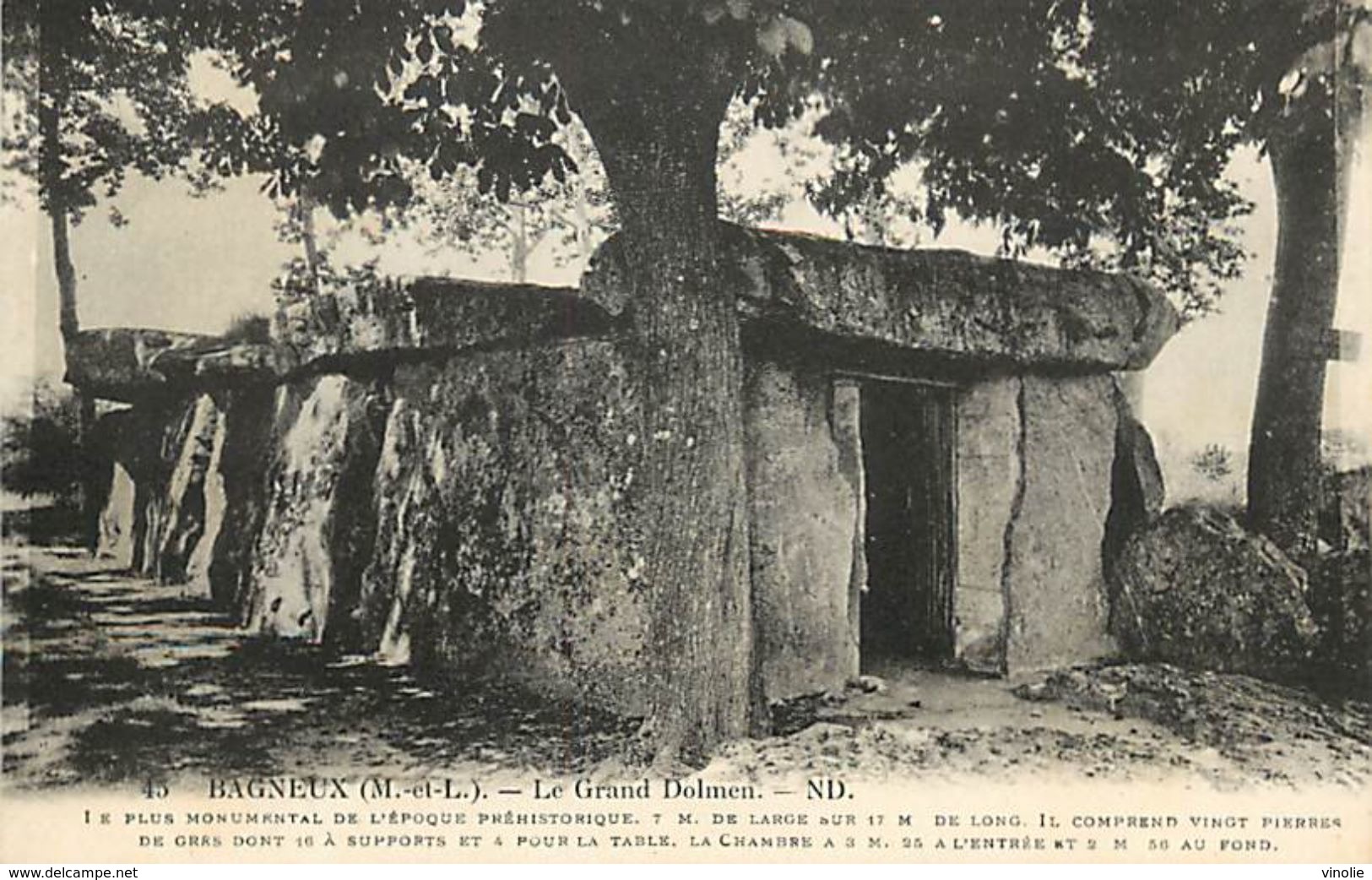 PIE-17-P.T. 8116 :   BAGNEUX. DOLMEN - Dolmen & Menhirs