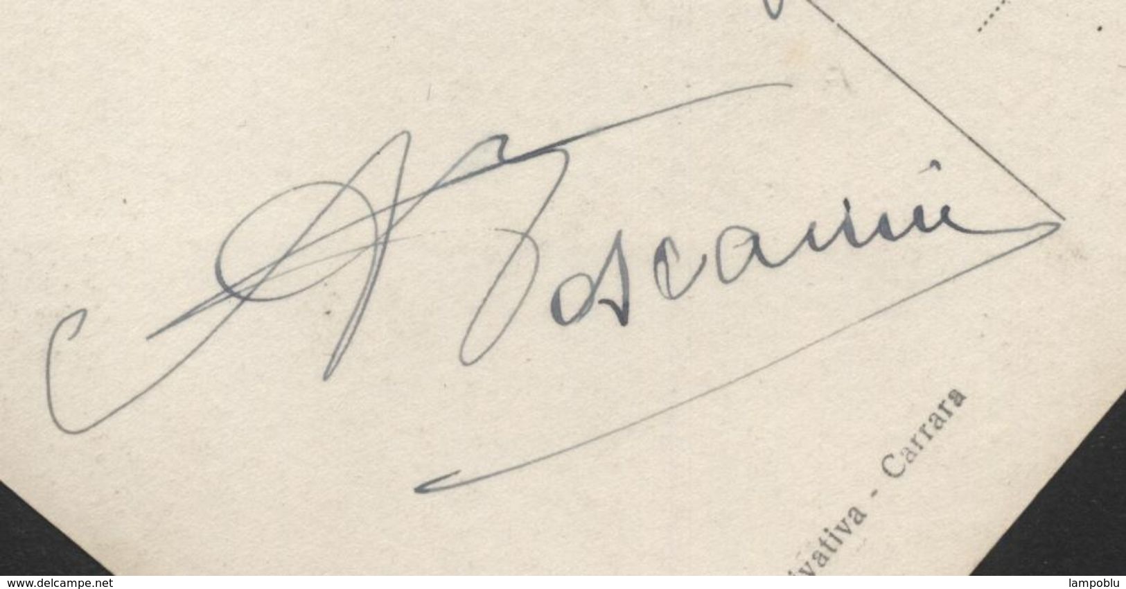 Apuania Carrara - Giardini Pubblici - Viaggiata Per Firenze Il 24.2.1939 - Autografo Aldo Toscanini - Carrara