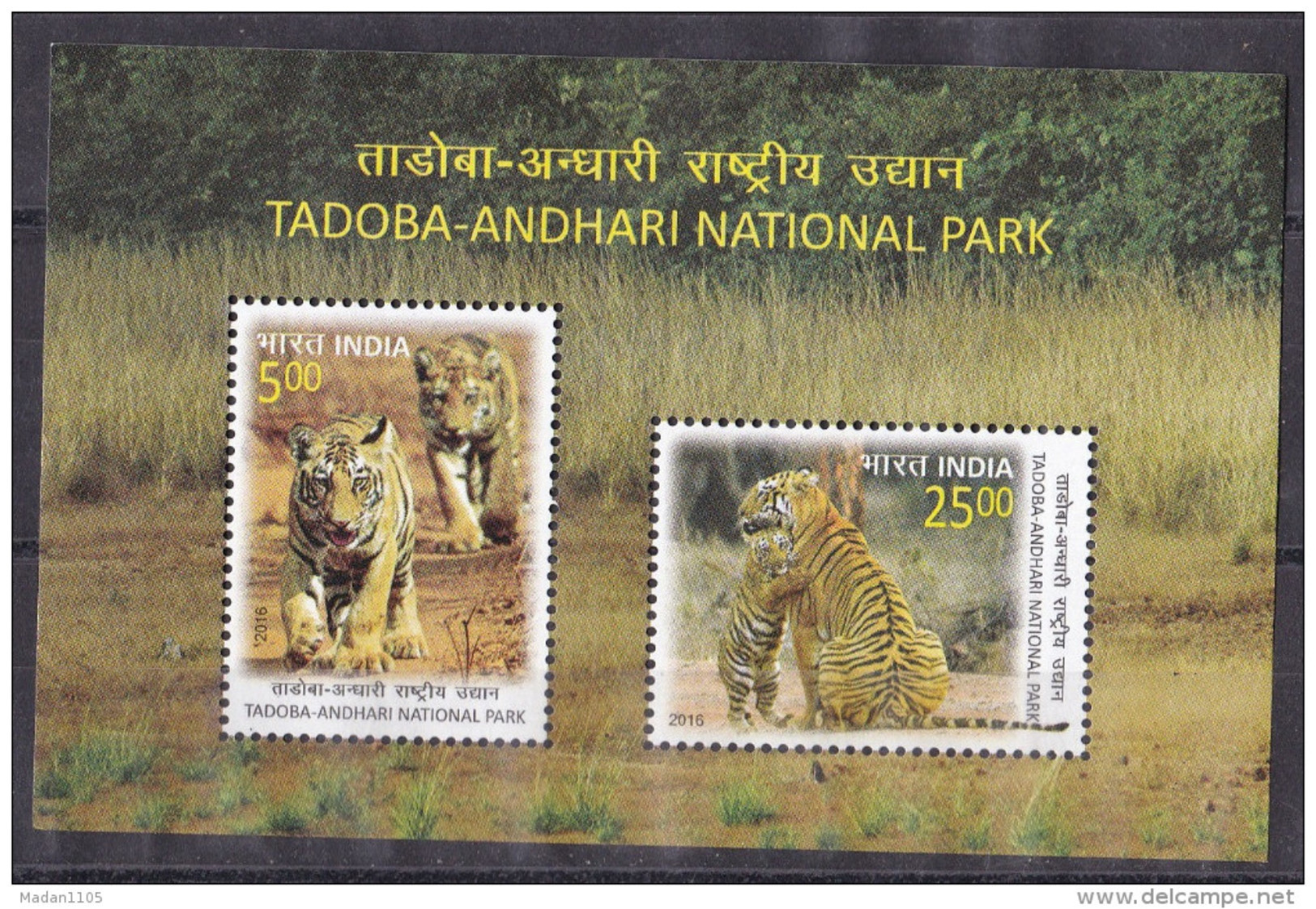 INDIA, 2016,  Tadoba-Andhari-National Park, Tiger,Tigers, Fauna Cub,   Miniature Sheet, MNH, (**) - Felini