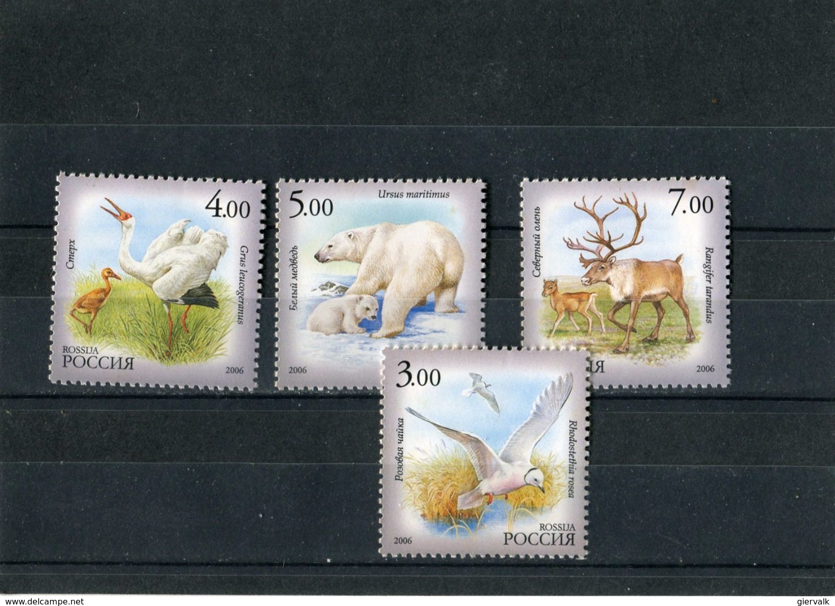 RUSSIA 2006 CRANE,GULL,POLAR BEAR,RENDEER MNH. - Andere & Zonder Classificatie